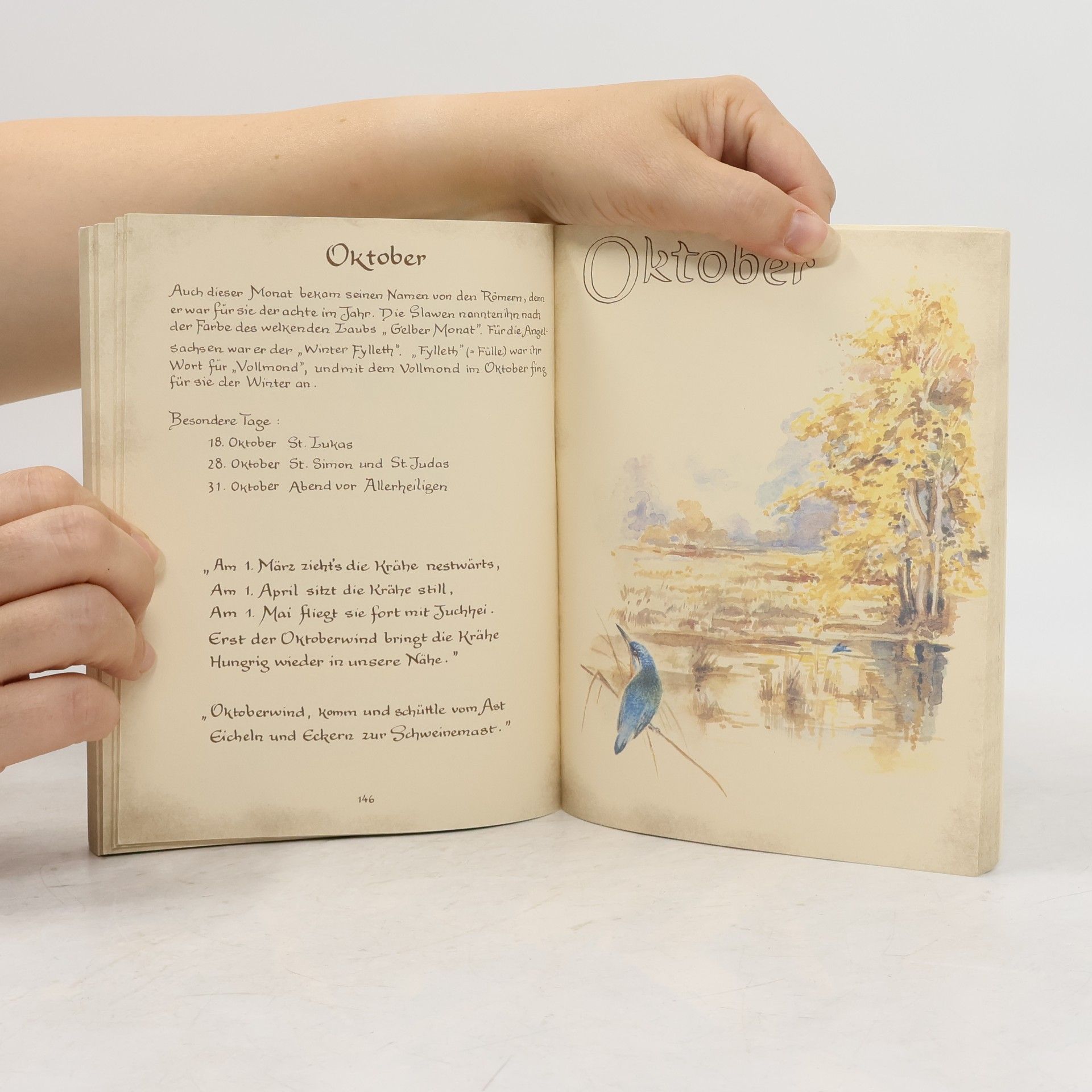 Edith Holden Die schöne Stimme der Natur. Das frühe Tagebuch der Edith Holden. Naturerlebnisse aus dem Jahre 1905