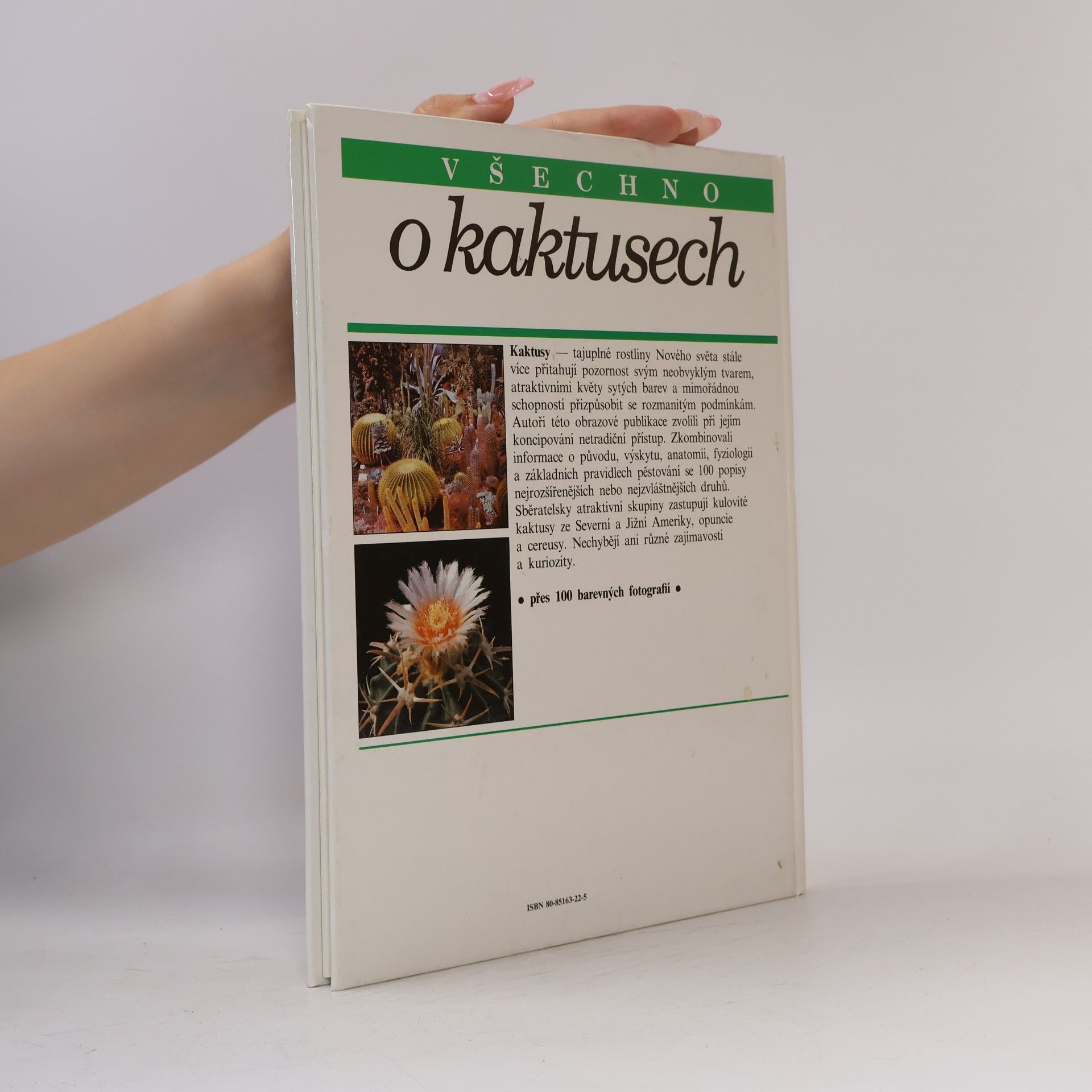 Alexander Lux Všechno o kaktusech