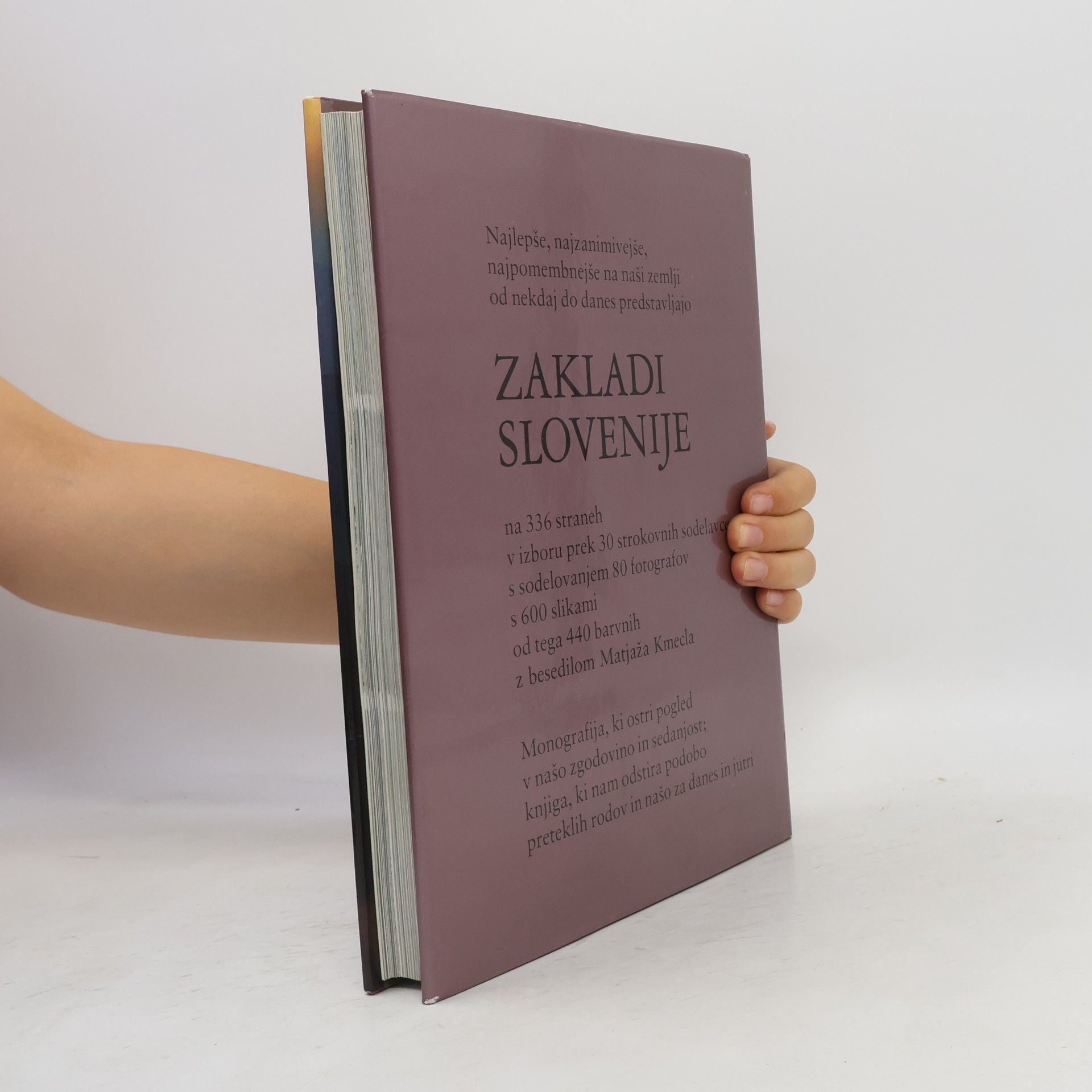 Matjaž Kmecl Zakladi Slovenije
