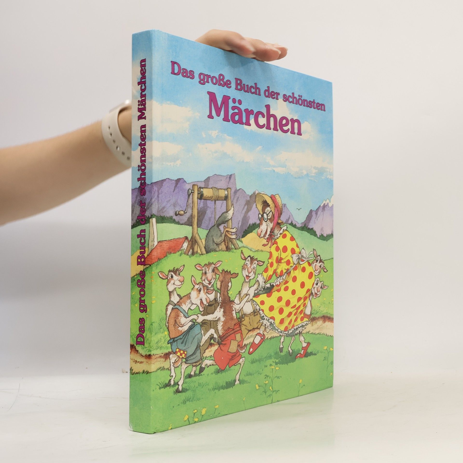 Netti van Dok Das große Buch der schönsten Märchen