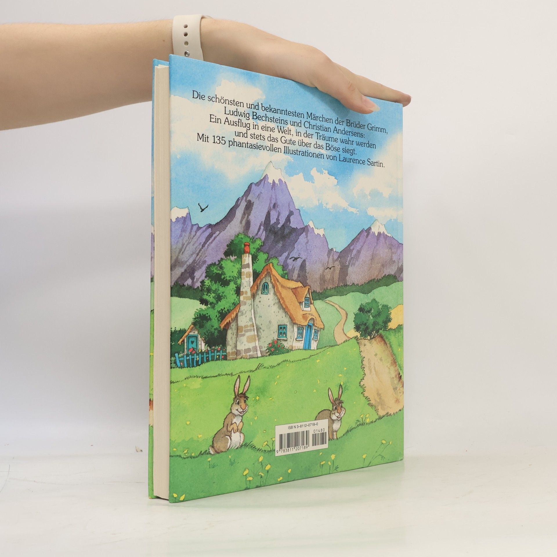 Netti van Dok Das große Buch der schönsten Märchen
