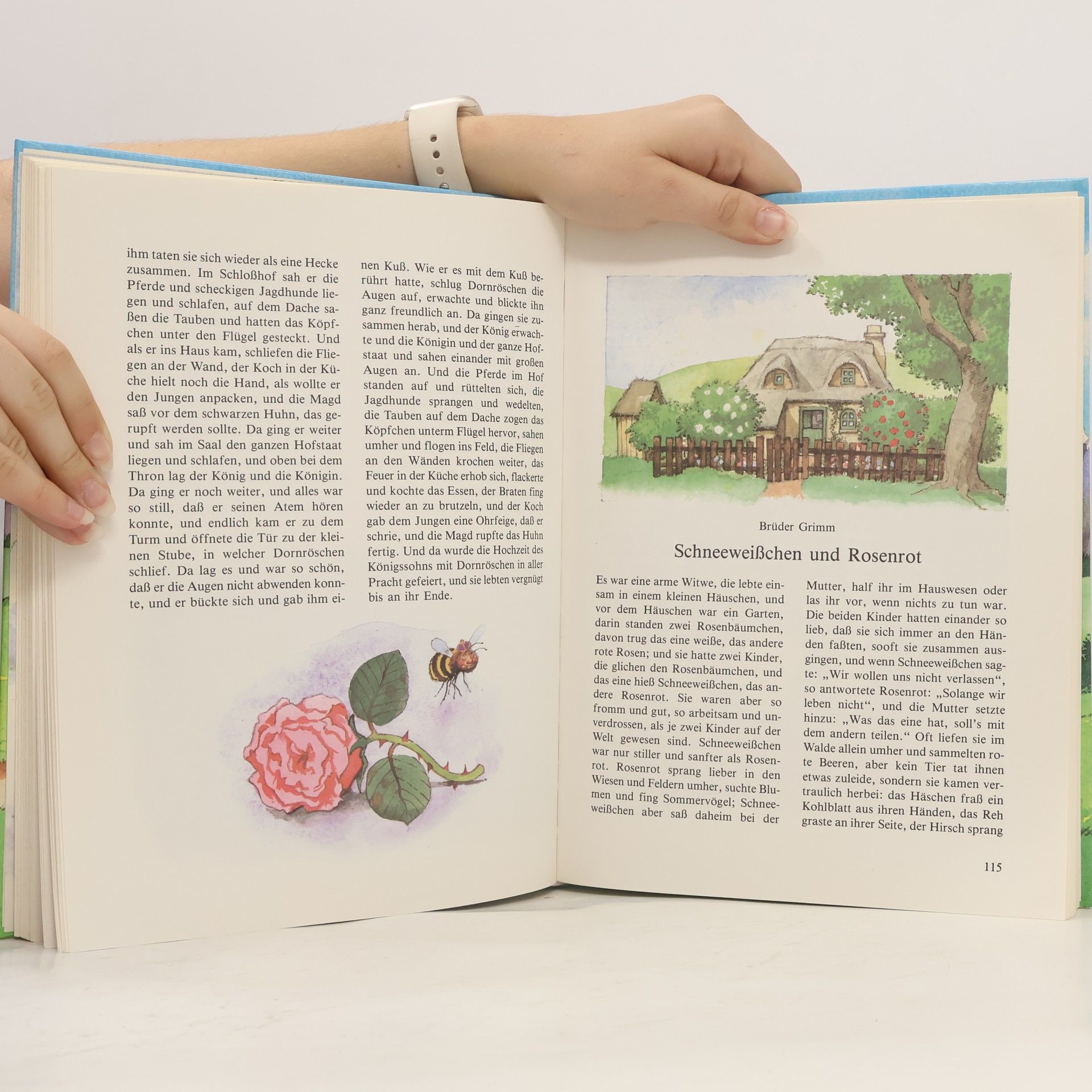Netti van Dok Das große Buch der schönsten Märchen