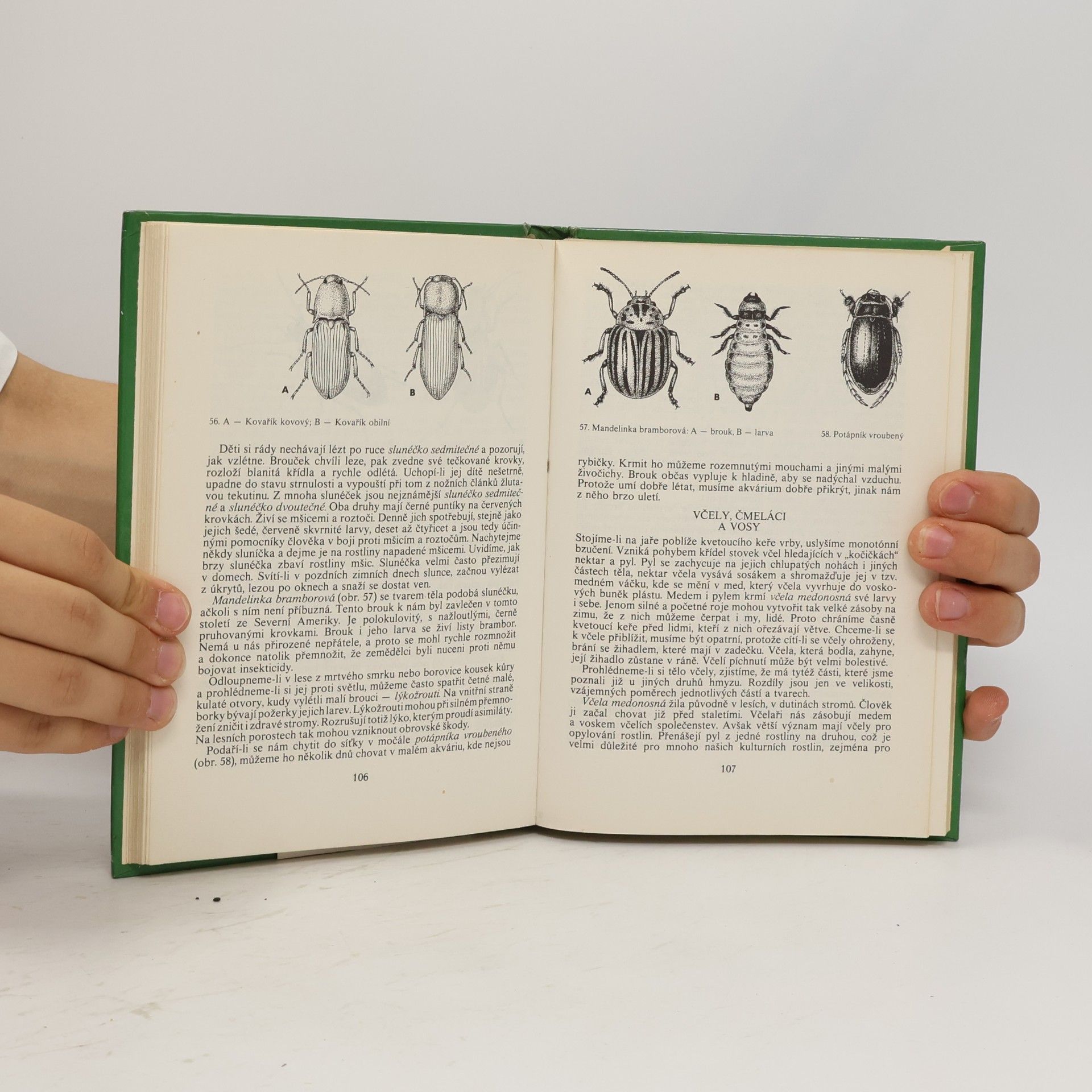 Various authors Metodika seznamování dětí s přírodou
