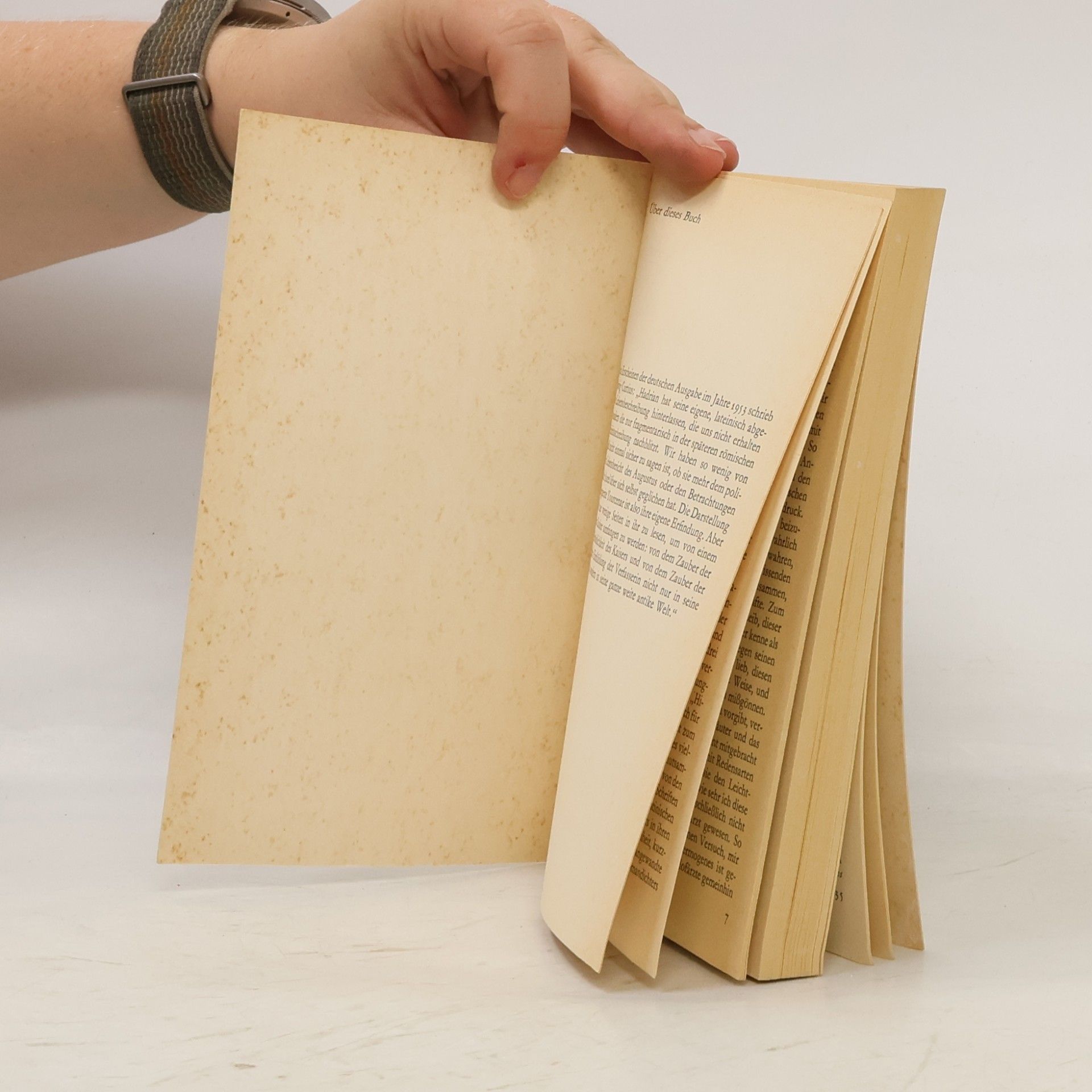 Marguerite Yourcenar Ich zähmte die Wölfin