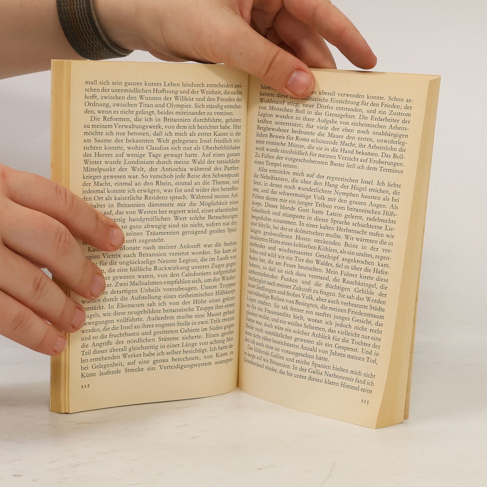Marguerite Yourcenar Ich zähmte die Wölfin