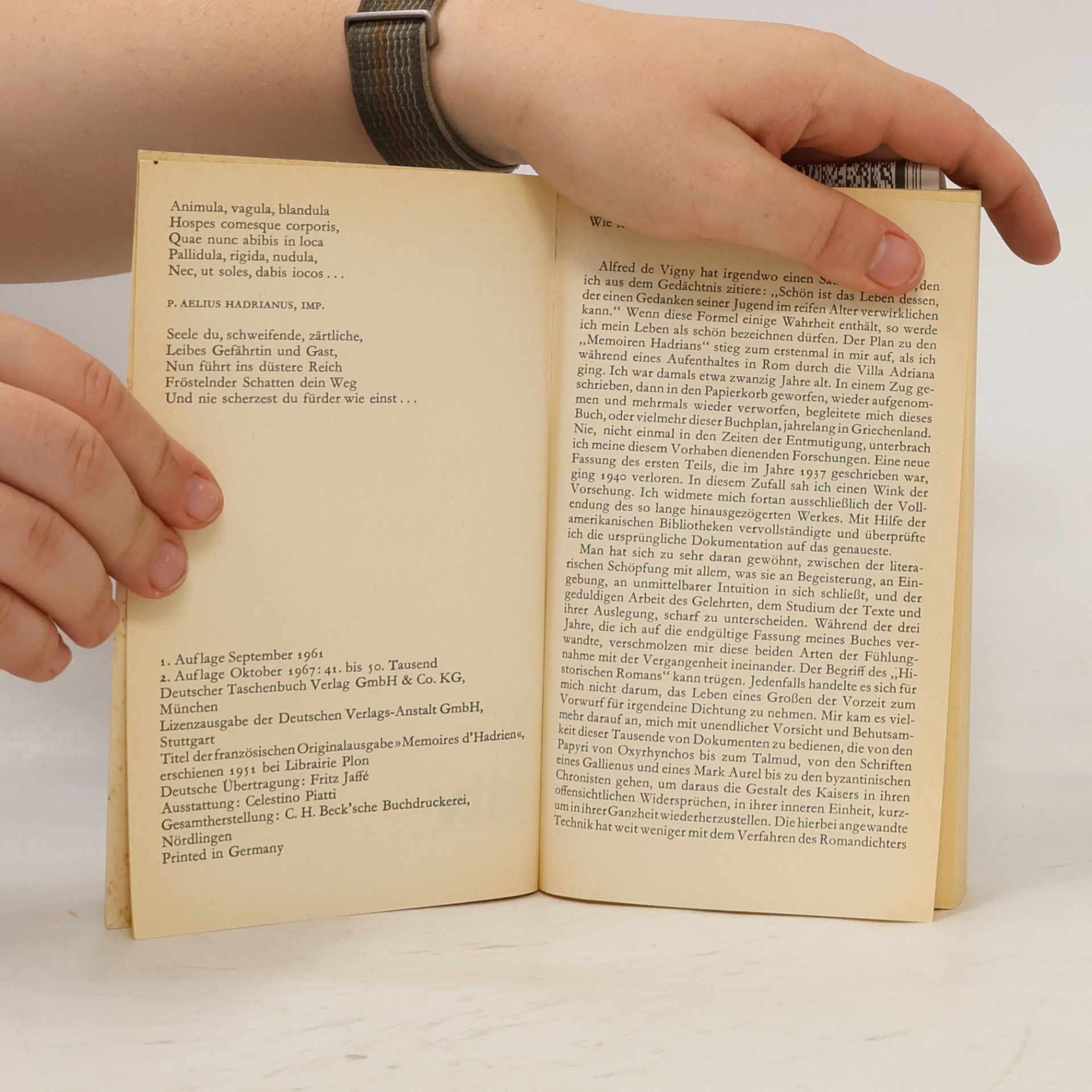 Marguerite Yourcenar Ich zähmte die Wölfin