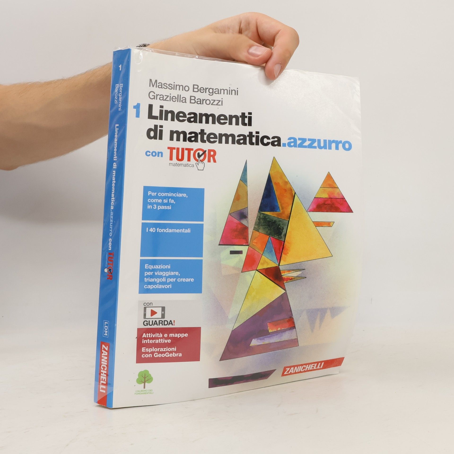 Graziella Barozzi Lineamenti di matematica