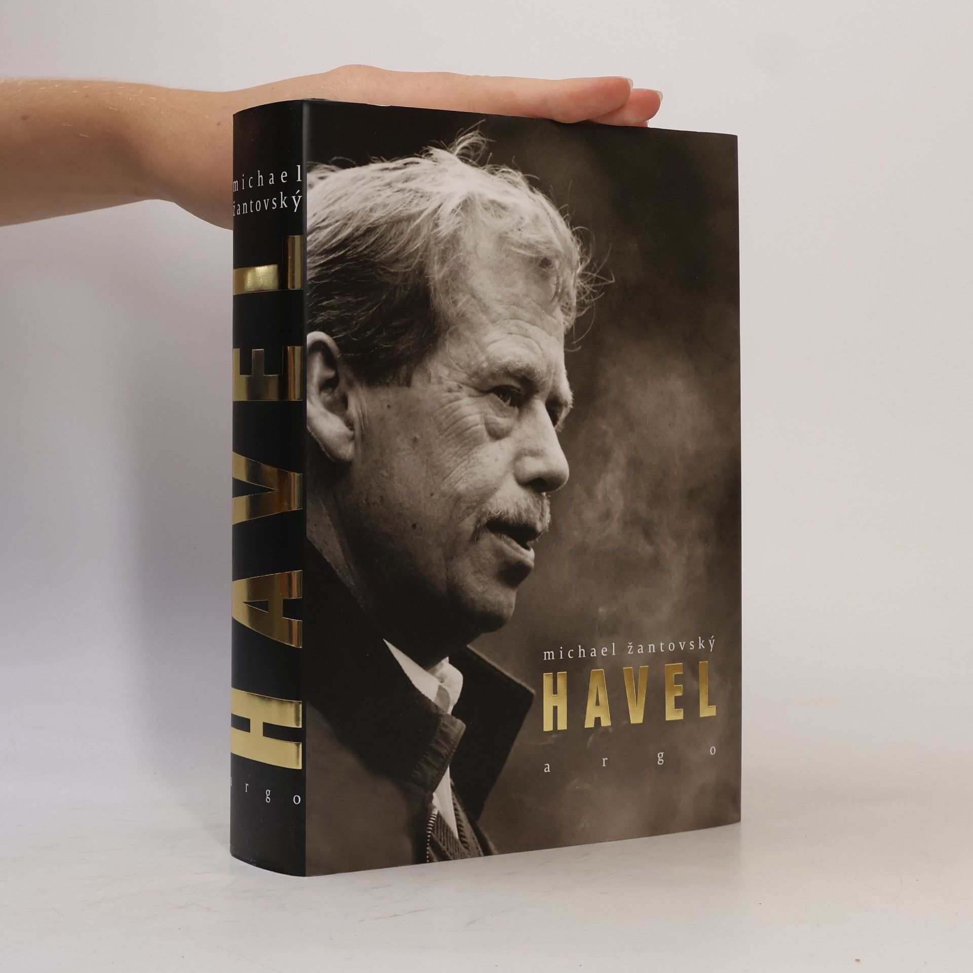 Michael Žantovský Havel