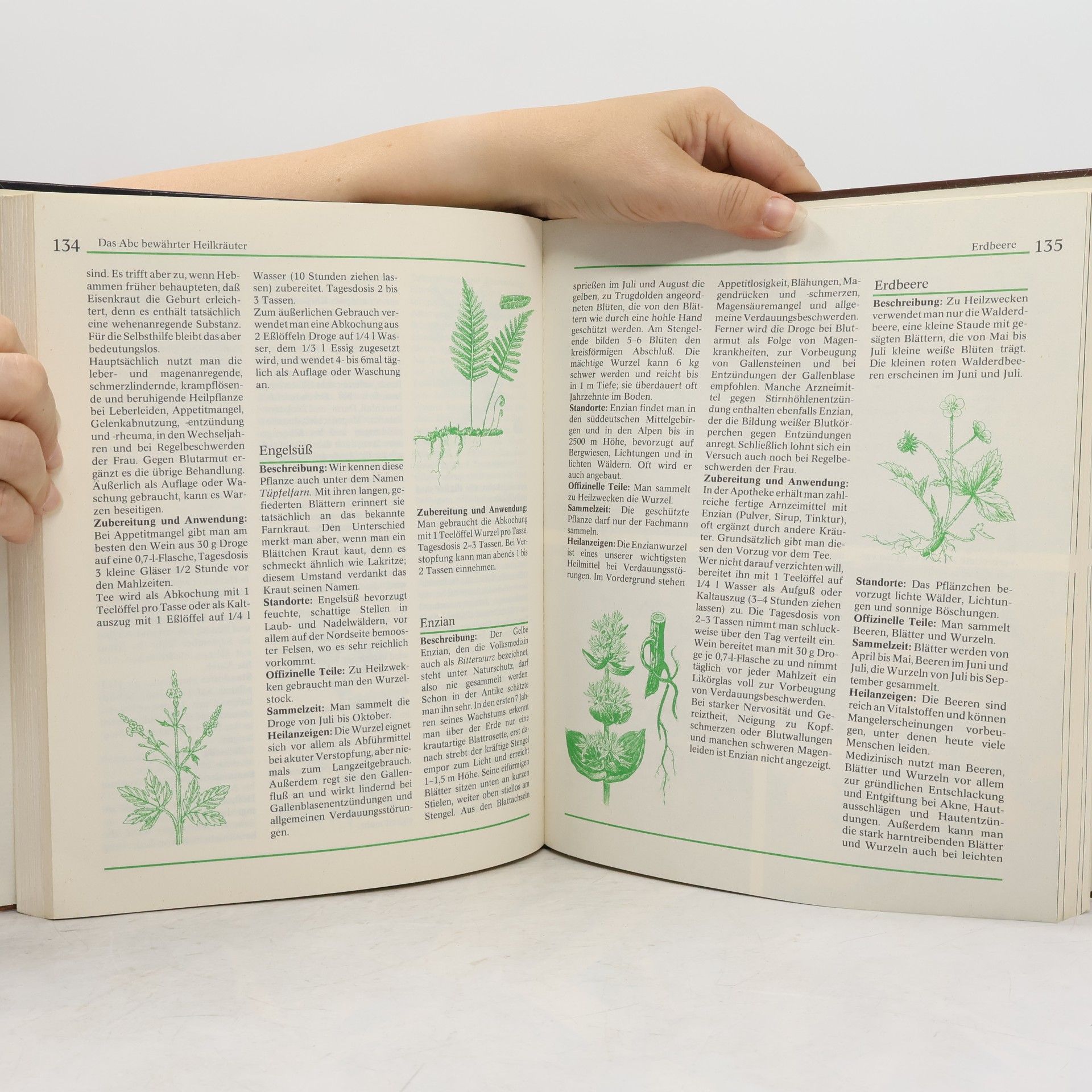 Gerhard Leibold Gesundheit durch altbewährte Kräuterrezepte und Hausmittel aus der Natur-Apotheke