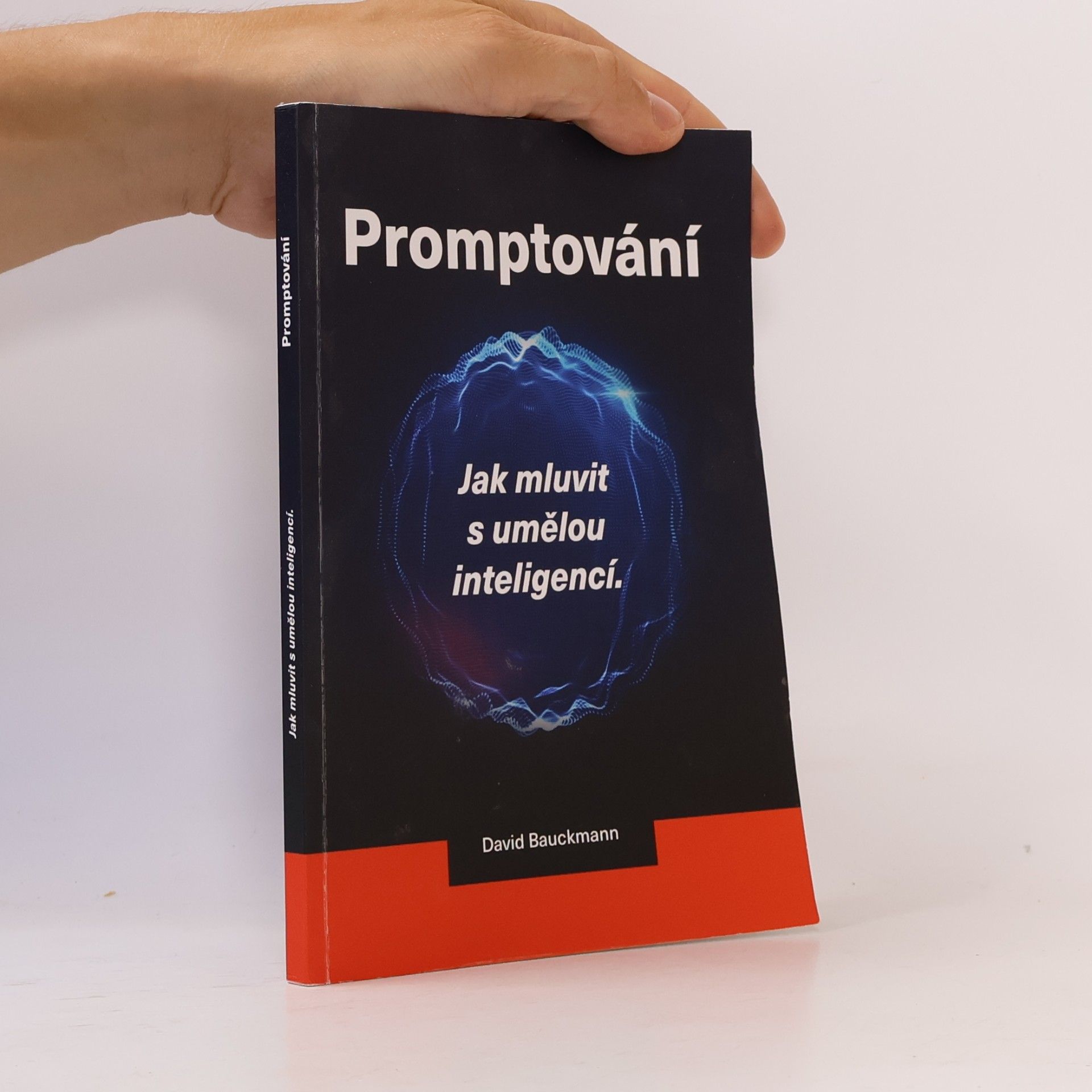 David Bauckmann Promptování. Jak mluvit s umělou inteligencí