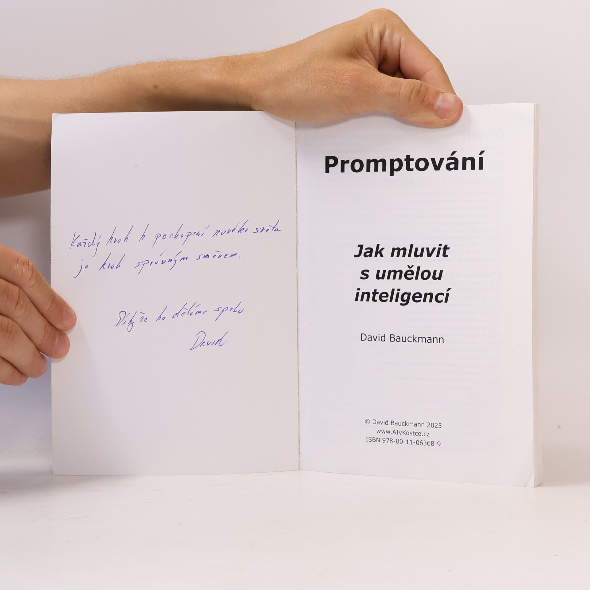 David Bauckmann Promptování. Jak mluvit s umělou inteligencí