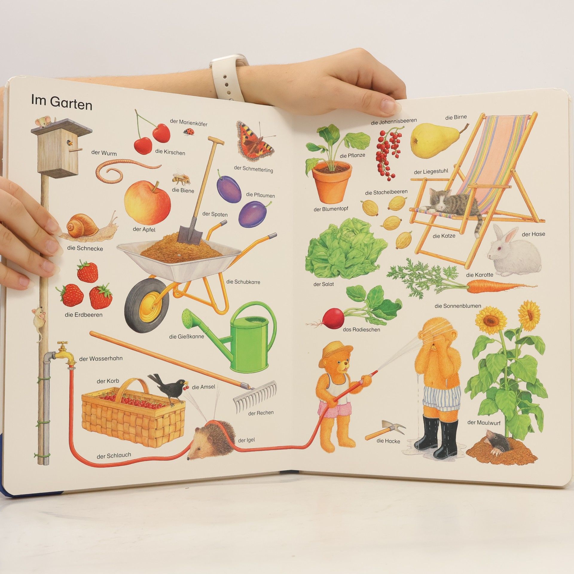 Helmut Spanner Erste Bilder - Erste Wörter