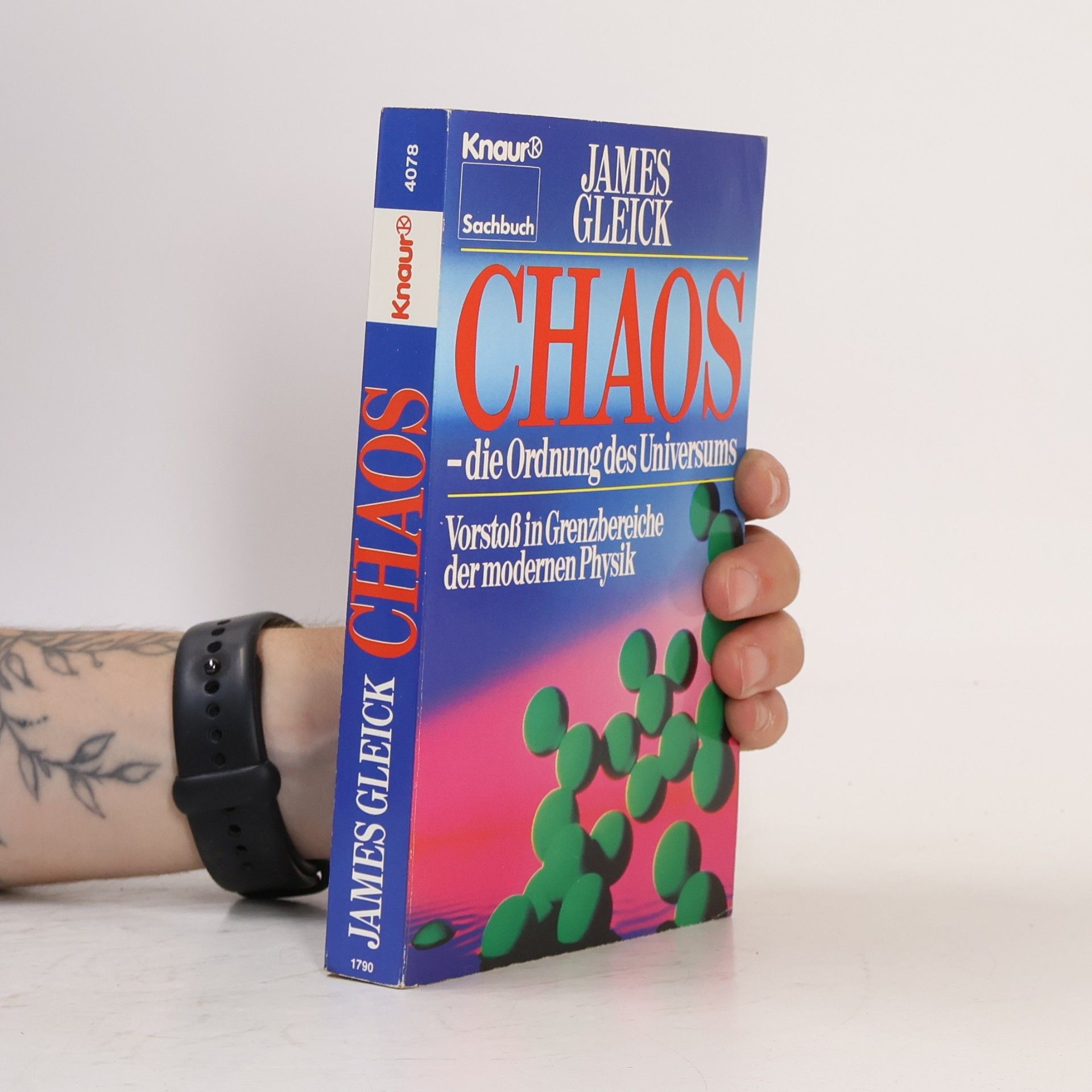 James Gleick Chaos - die Ordnung des Universums