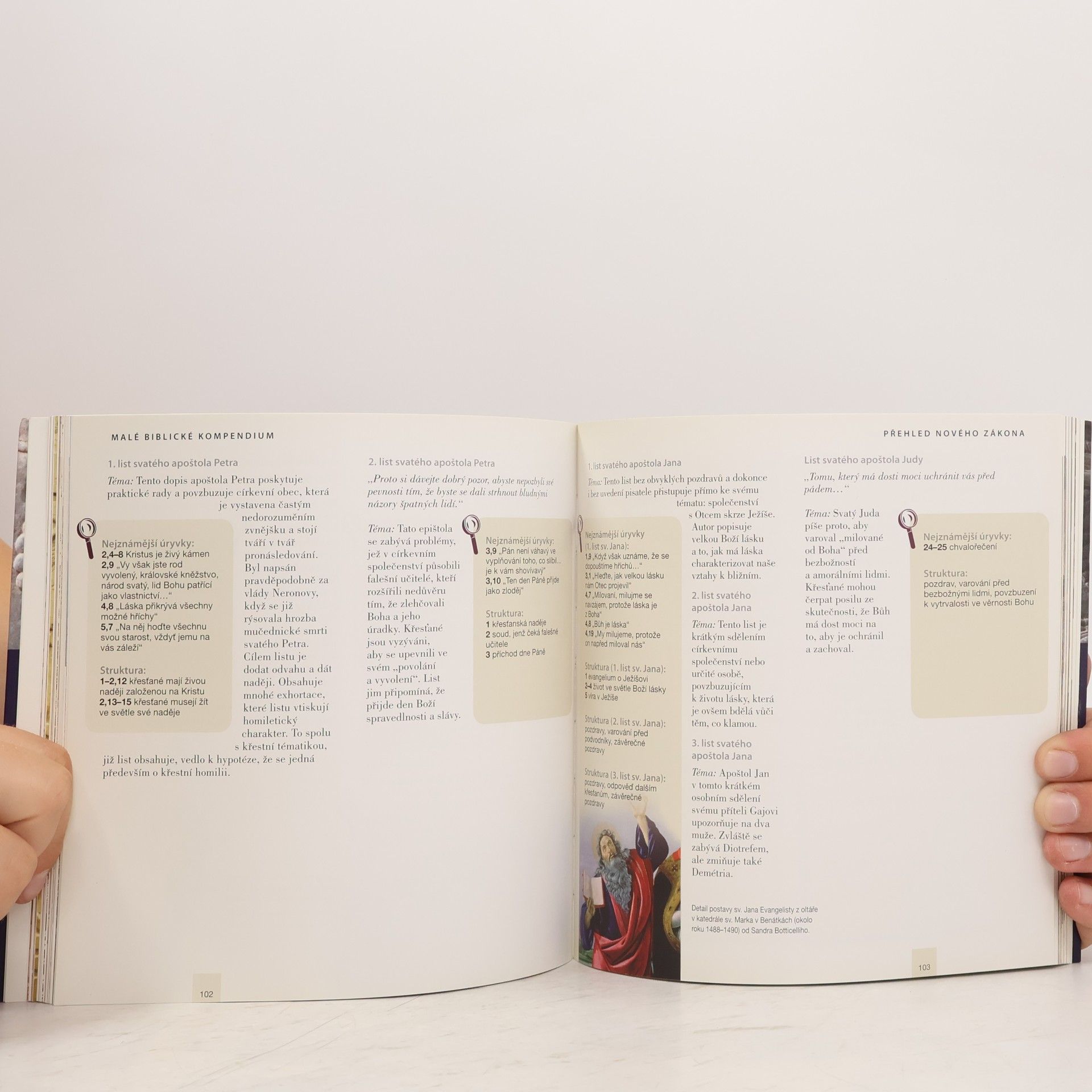 Debra Reid Malé biblické kompendium