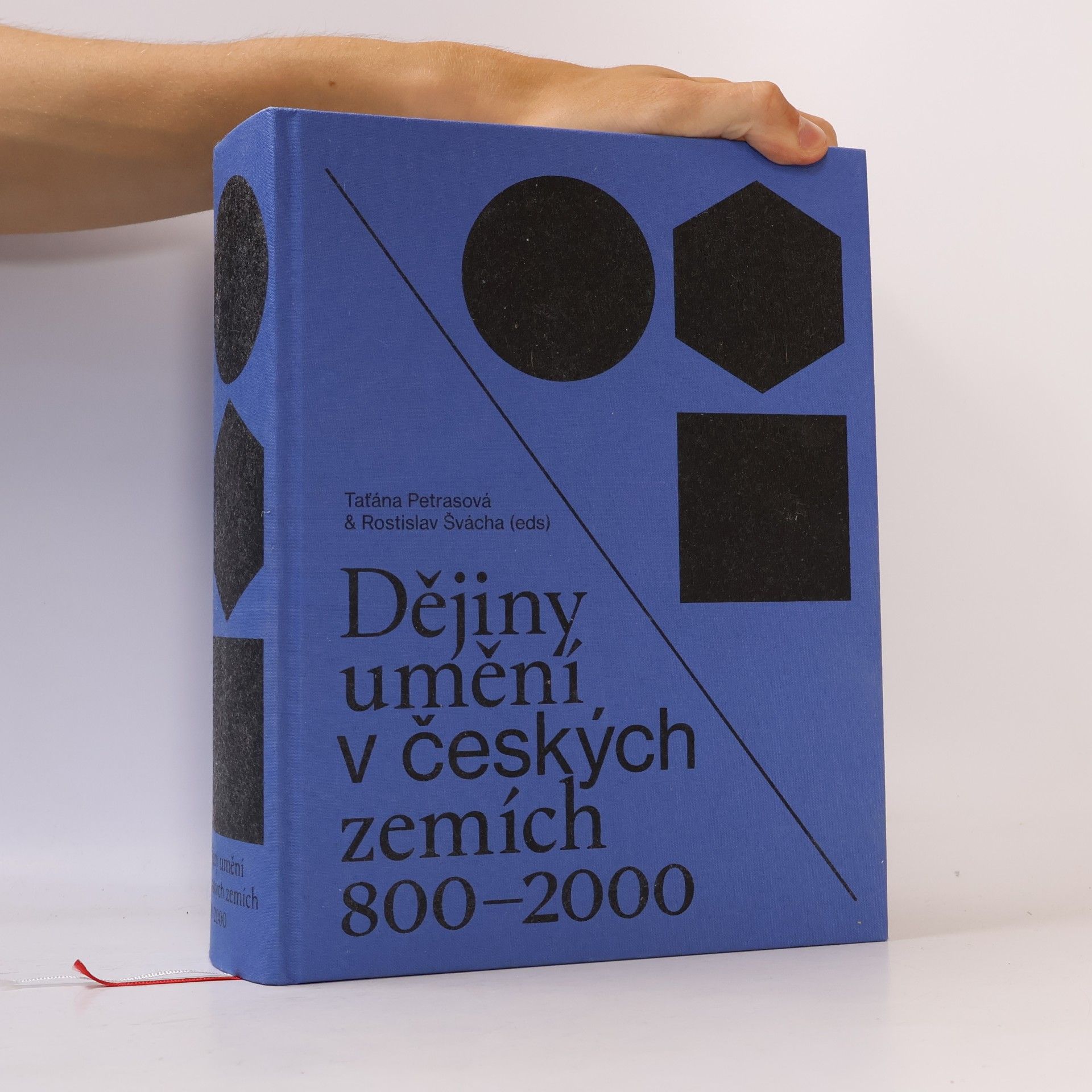 Lenka Panušková Dějiny umění v českých zemích 800-2000