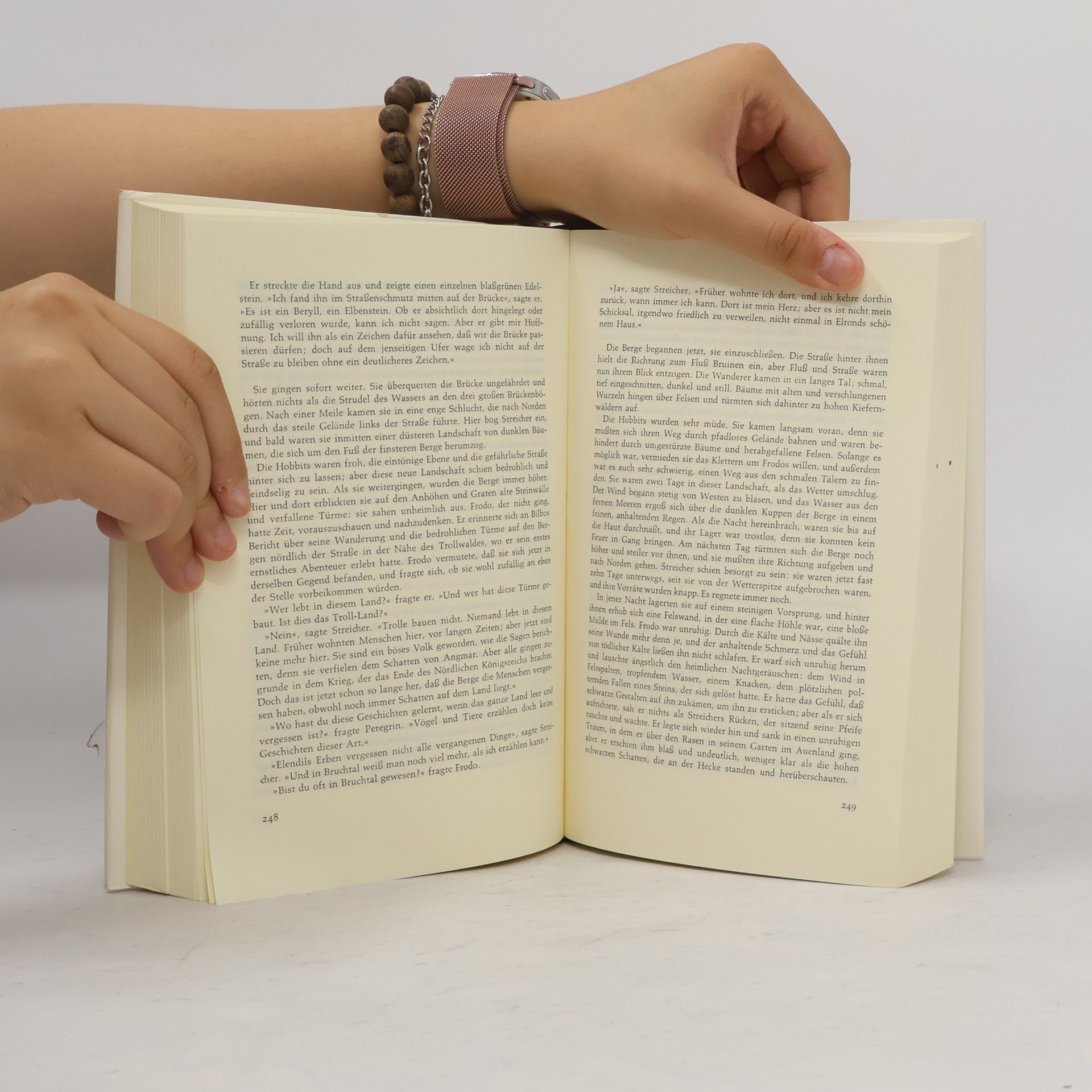 J. R. R. Tolkien Der Herr der Ringe 1. Die Gefährten