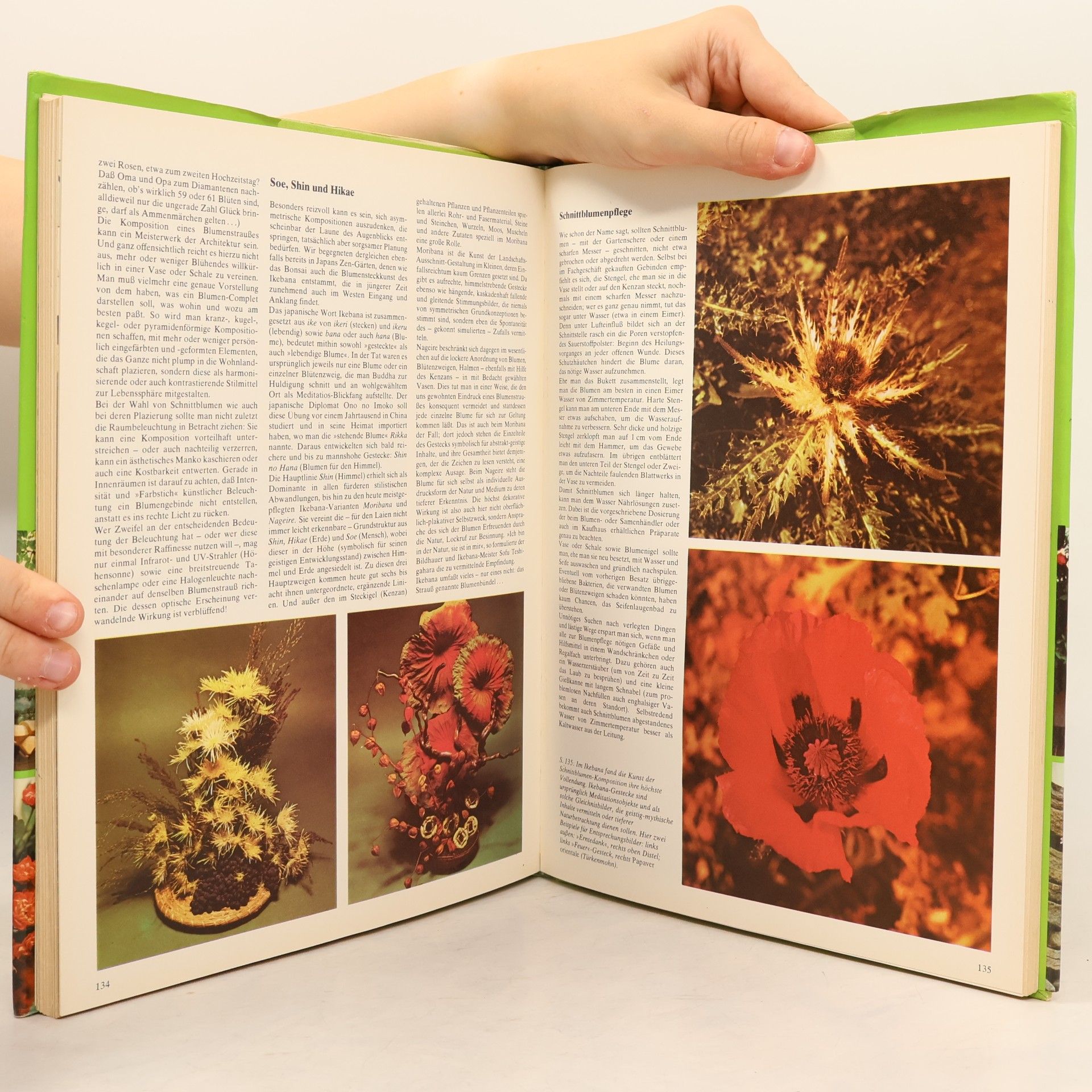 Autorenkollektiv Natur in Haus und Garten