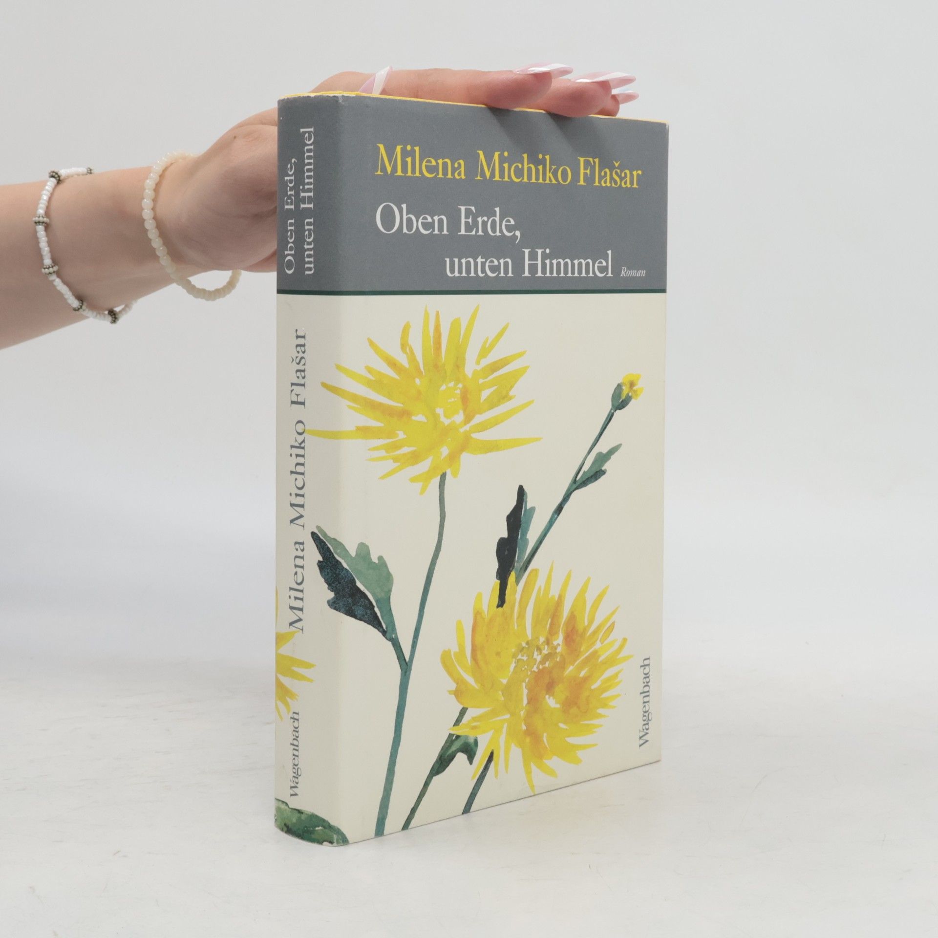 Milena Michiko Flašar Oben Erde, unten Himmel