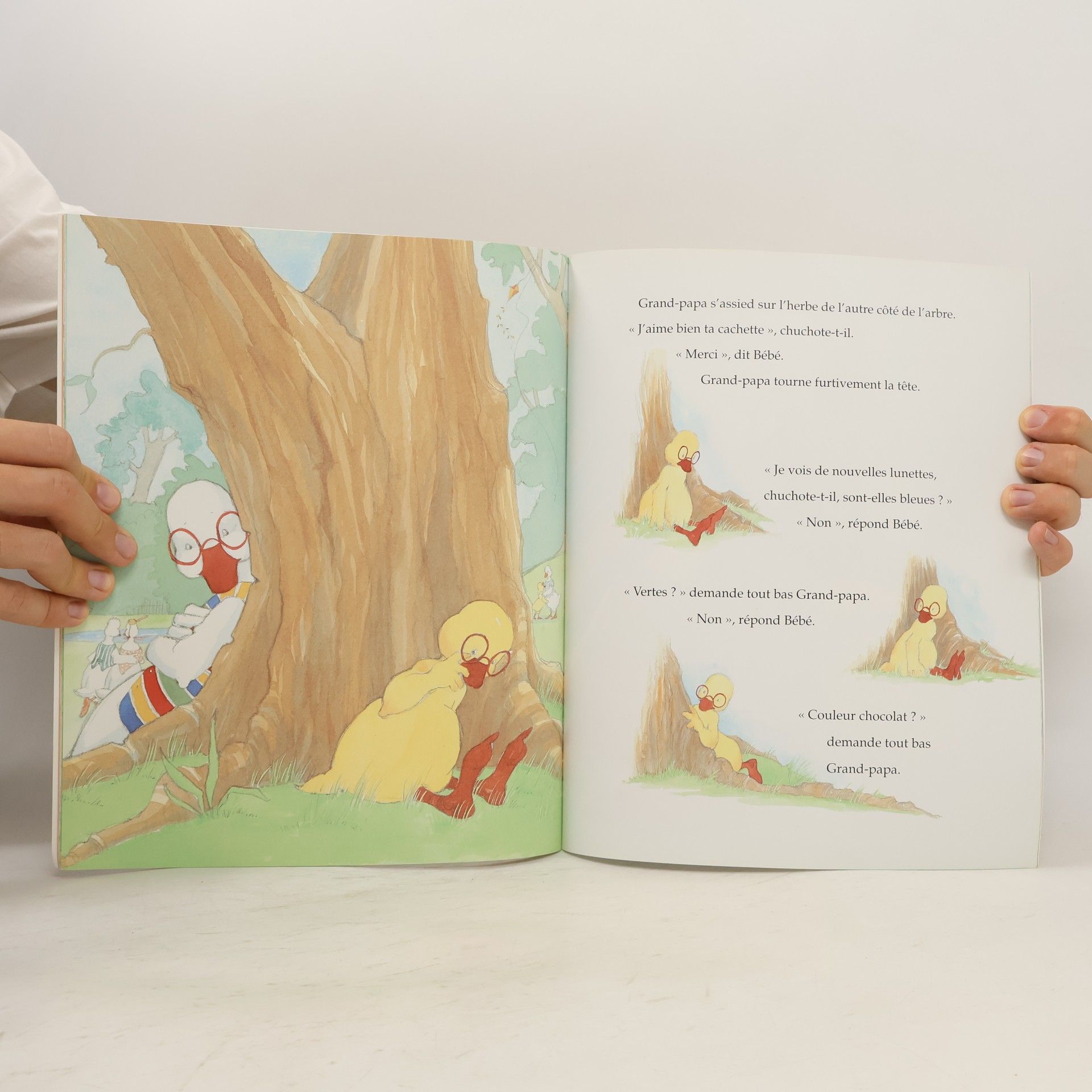 Amy Hest Bébé Canard et les méchantes lunettes