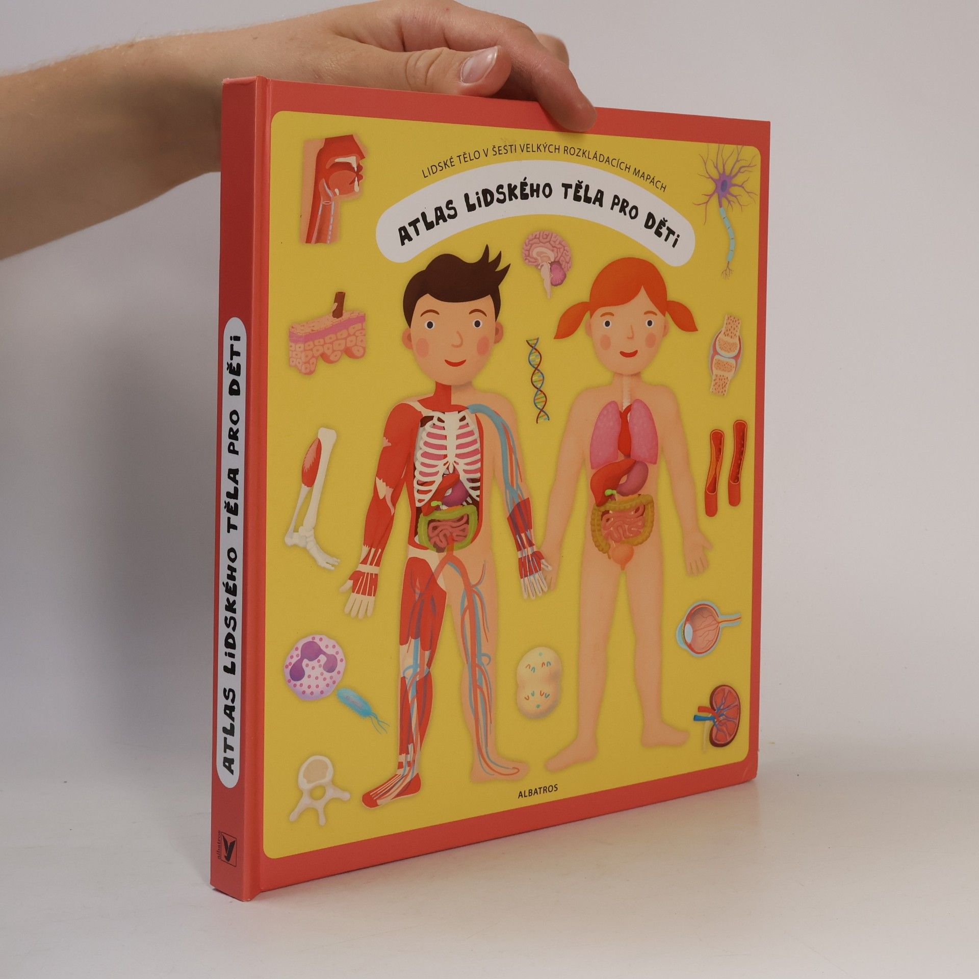 Oldřich Růžička Atlas lidského těla pro děti