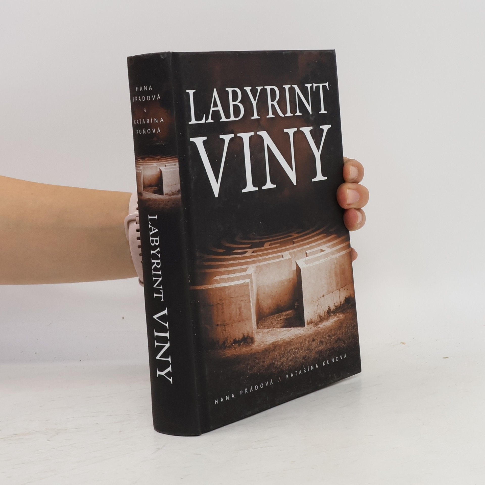 Hana Přádová Labyrint viny
