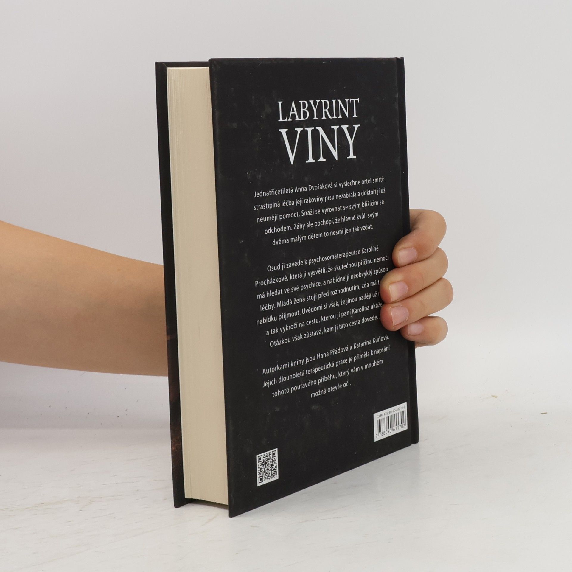 Hana Přádová Labyrint viny