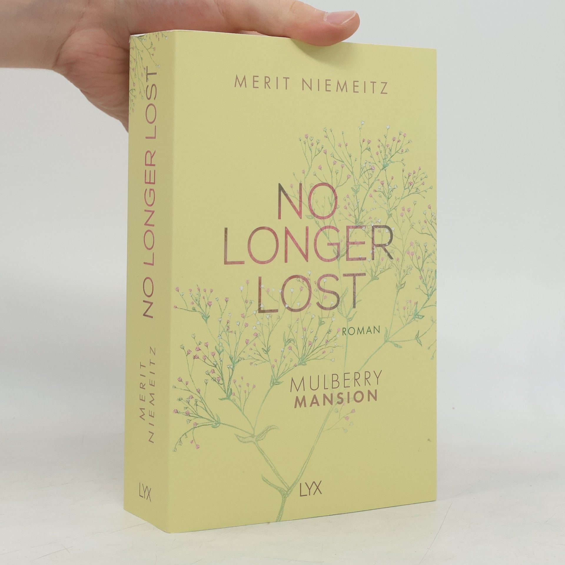 Merit Niemeitz No Longer Lost