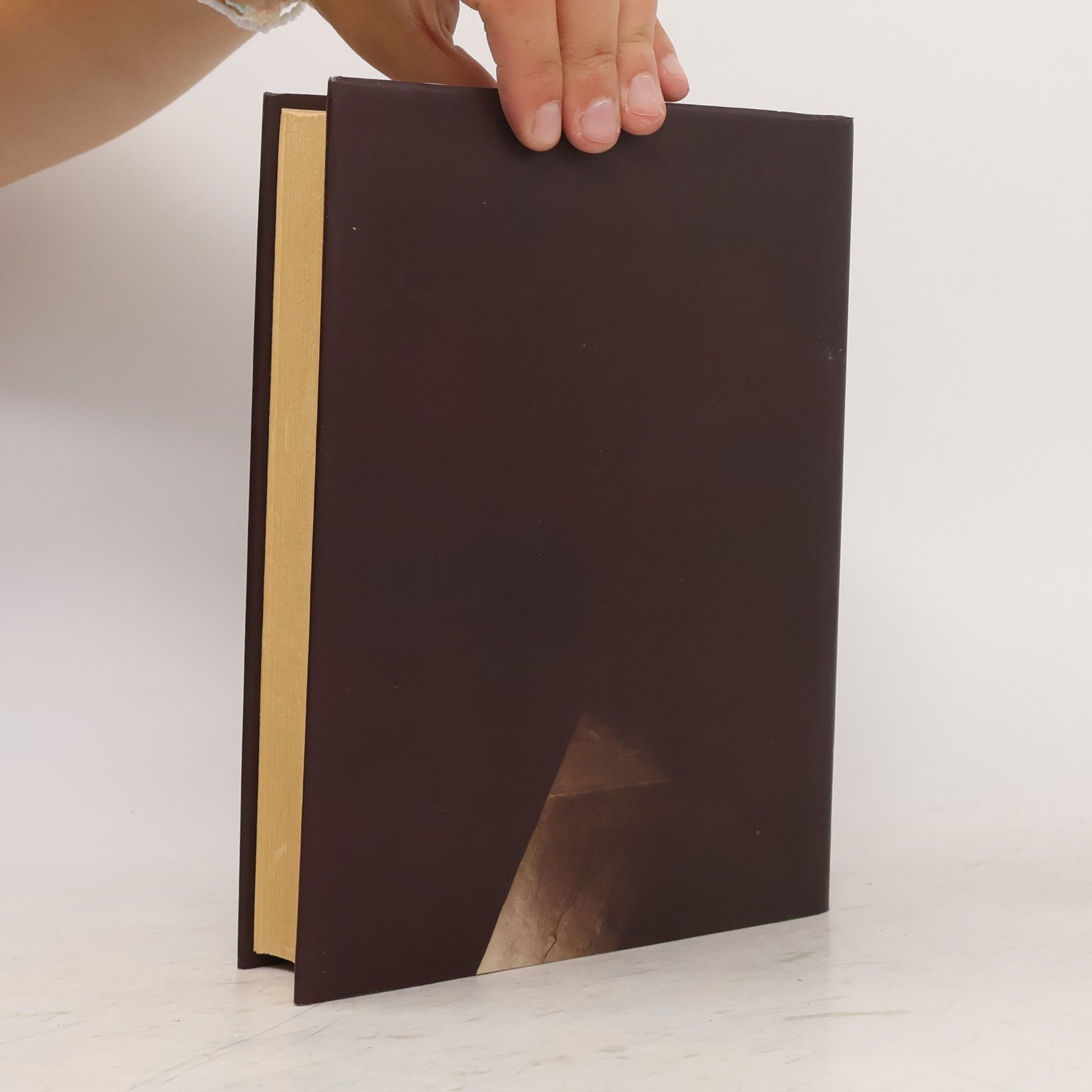 Arne Novák Česká literatura a národní tradice