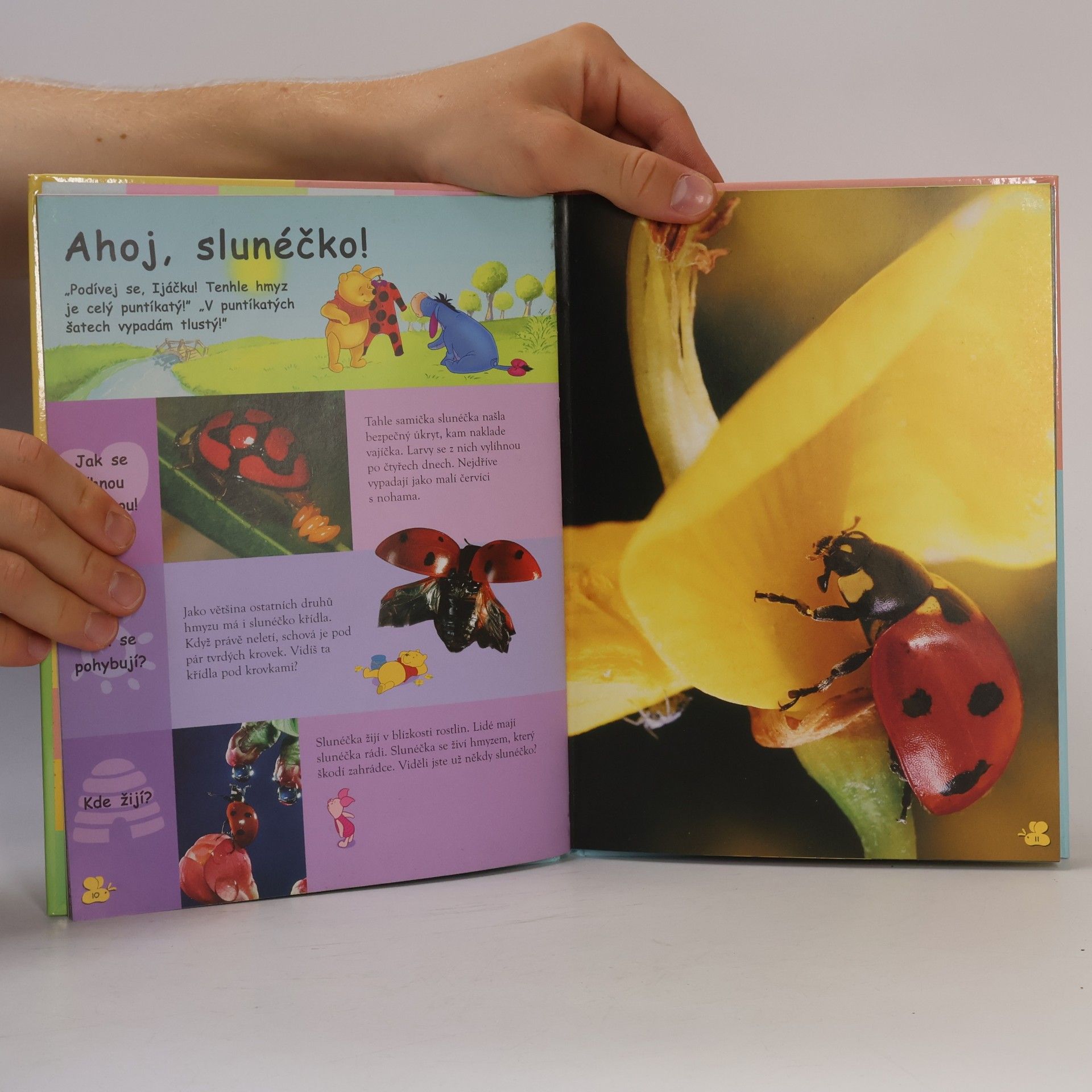 Walt Disney Moje první kniha hmyzu s Medvídkem Pú a jeho přáteli