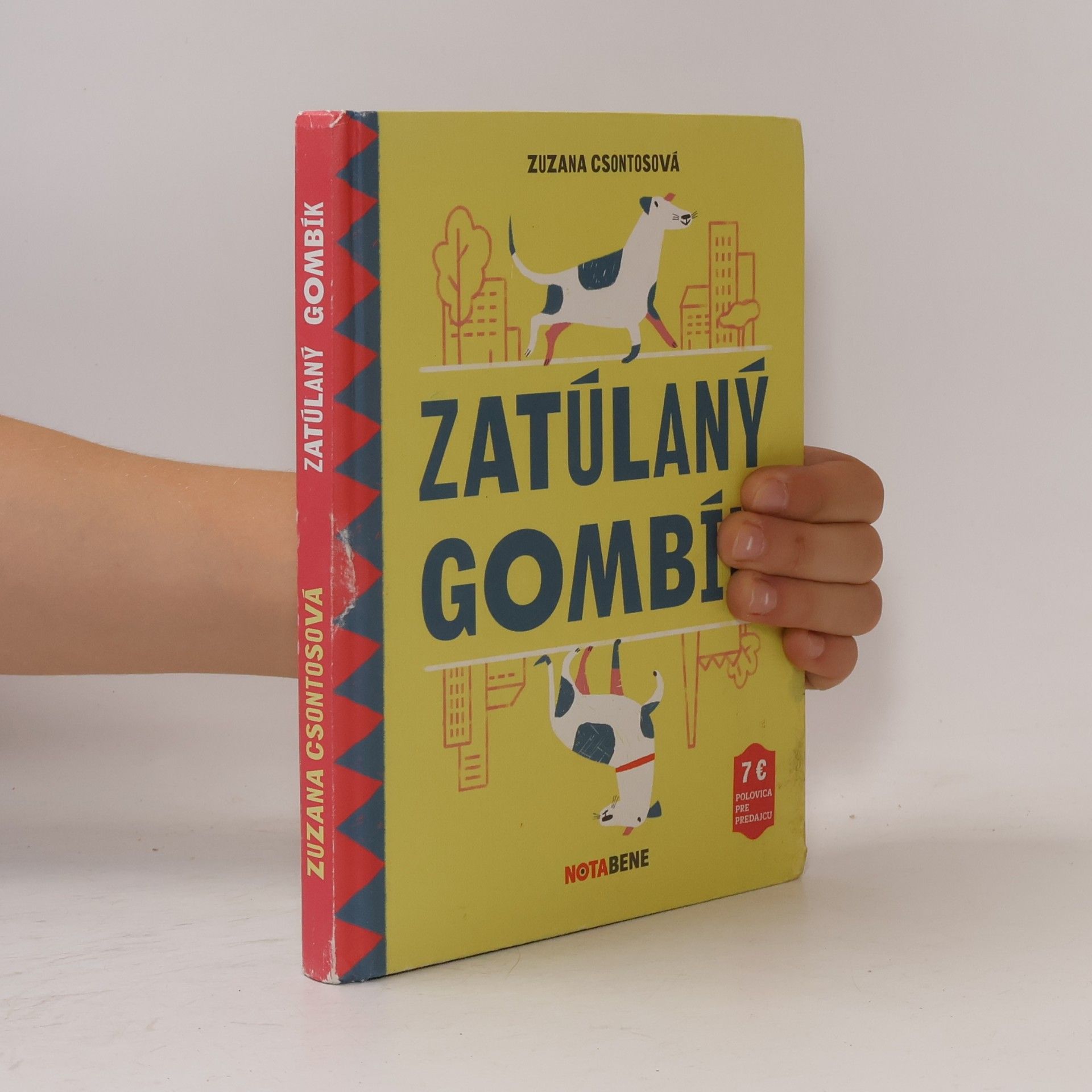 Zuzana Csontosová Zatúlaný gombík