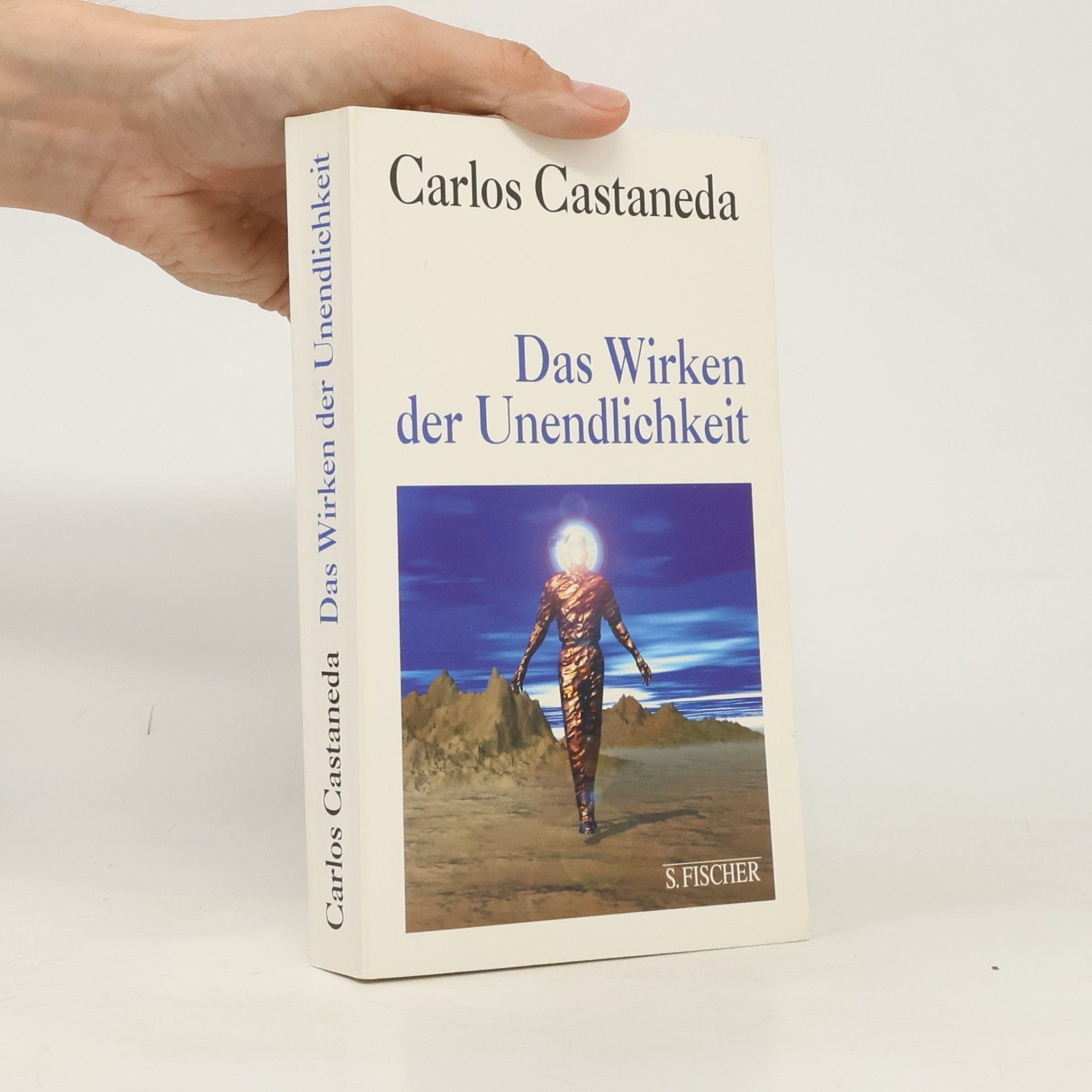 Carlos Castañeda Das Wirken der Unendlichkeit