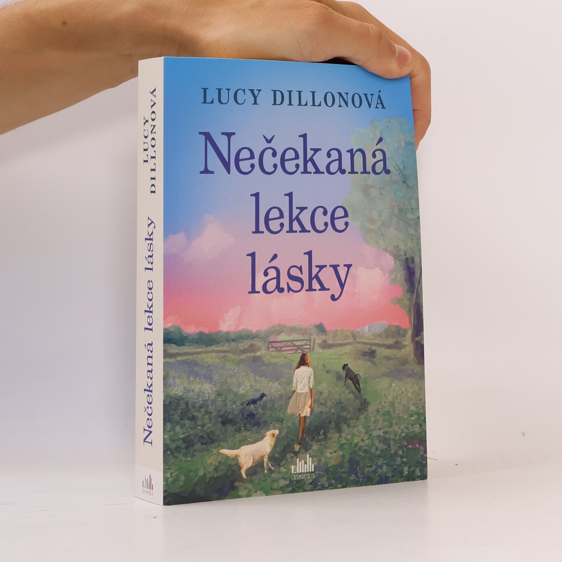 Lucy Dillon Nečekaná lekce lásky