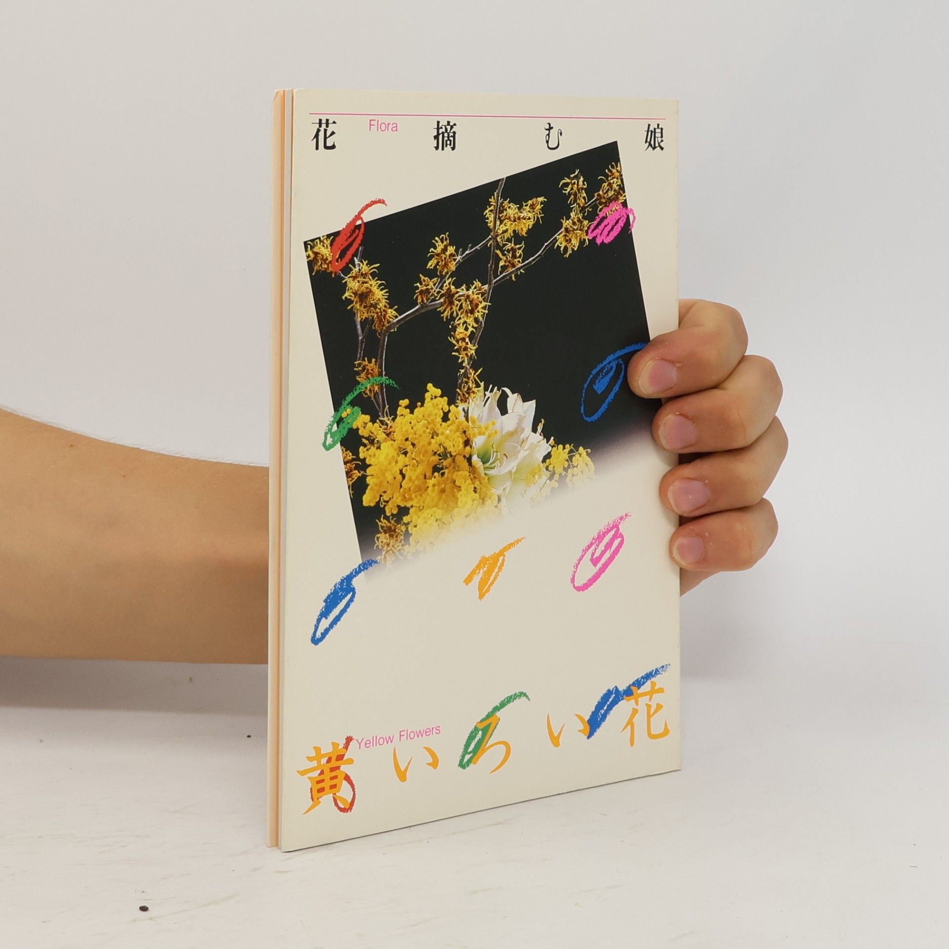 Collectif d'auteurs 花摘む娘