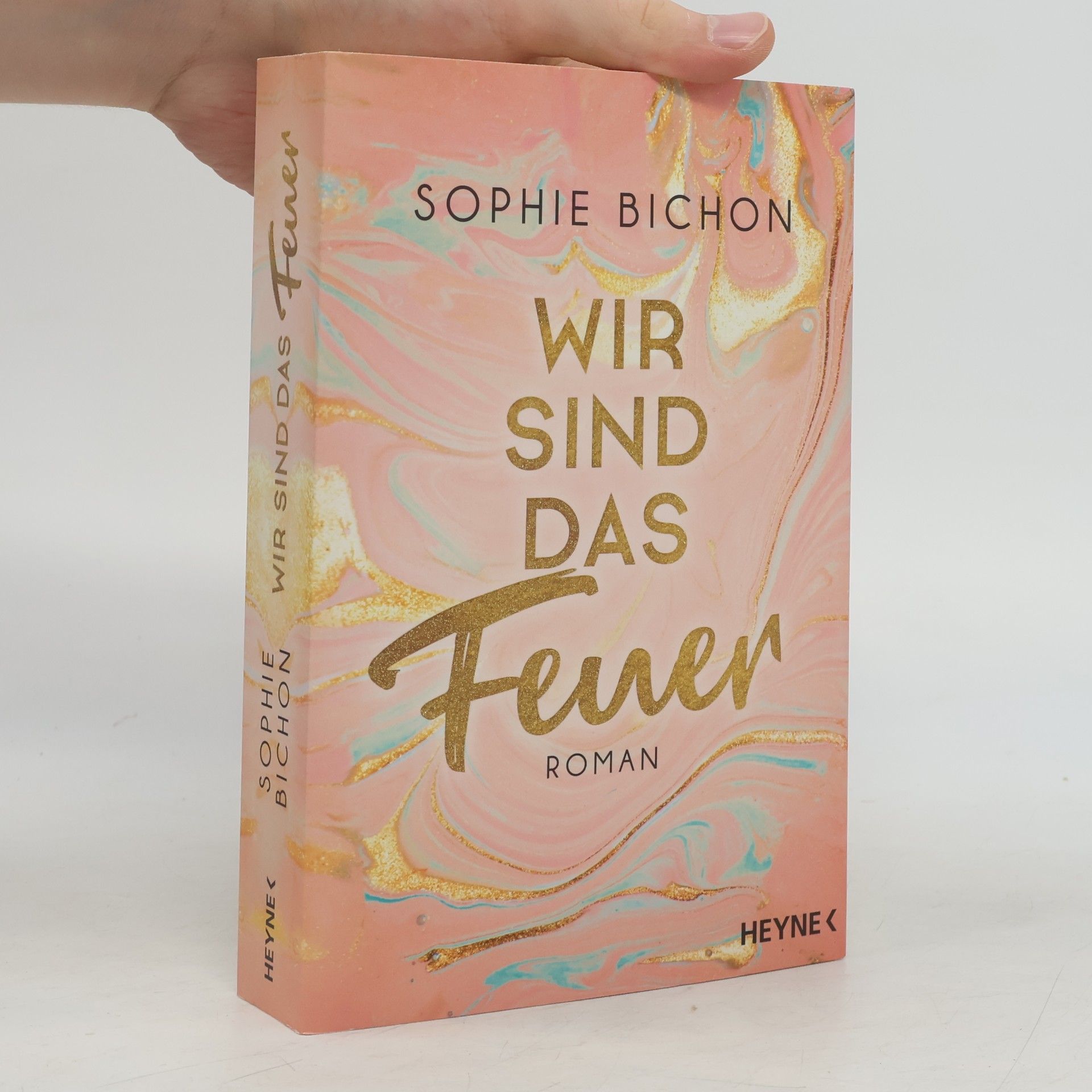 Sophie Bichon Wir sind das Feuer