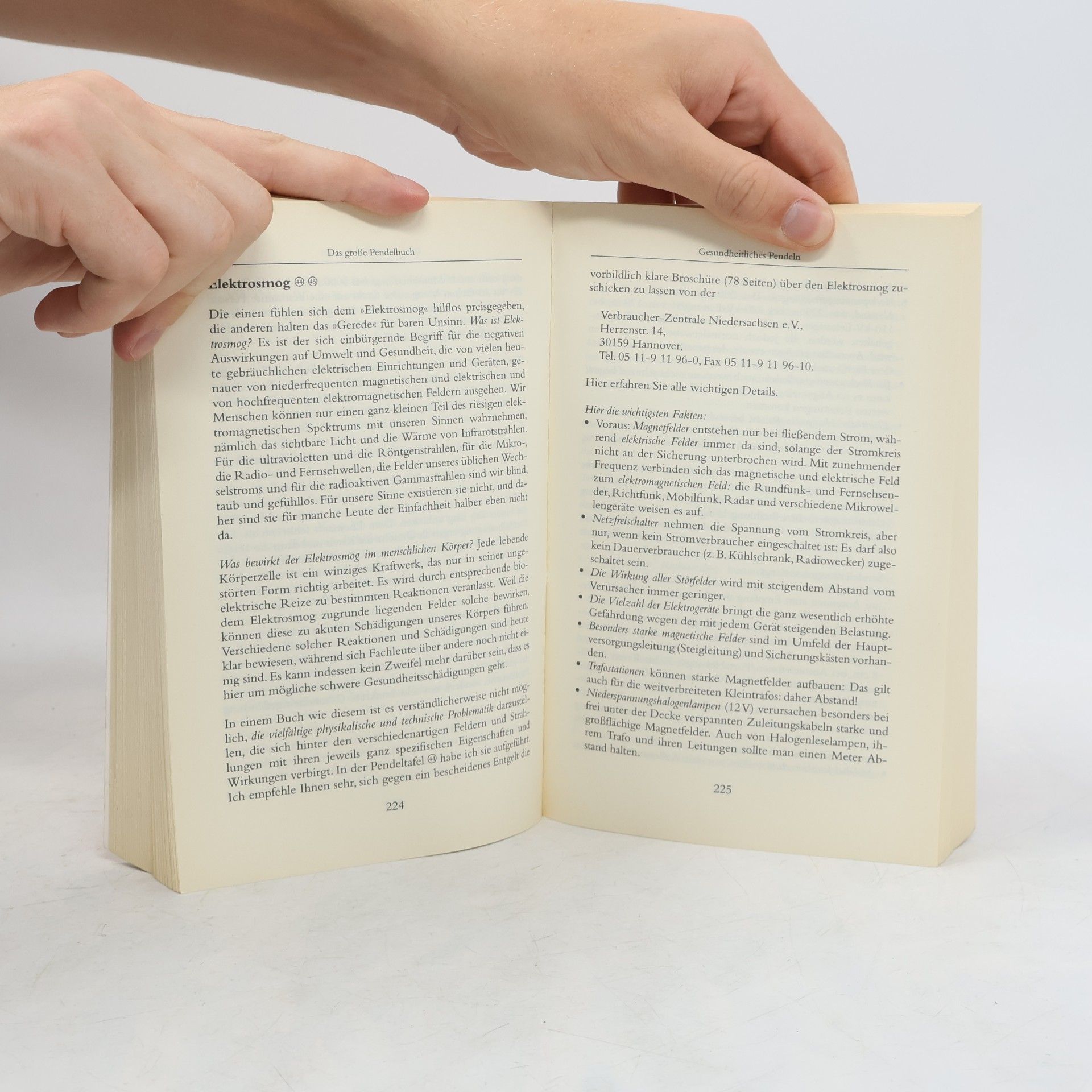 Anton Stangl Das große Pendelbuch