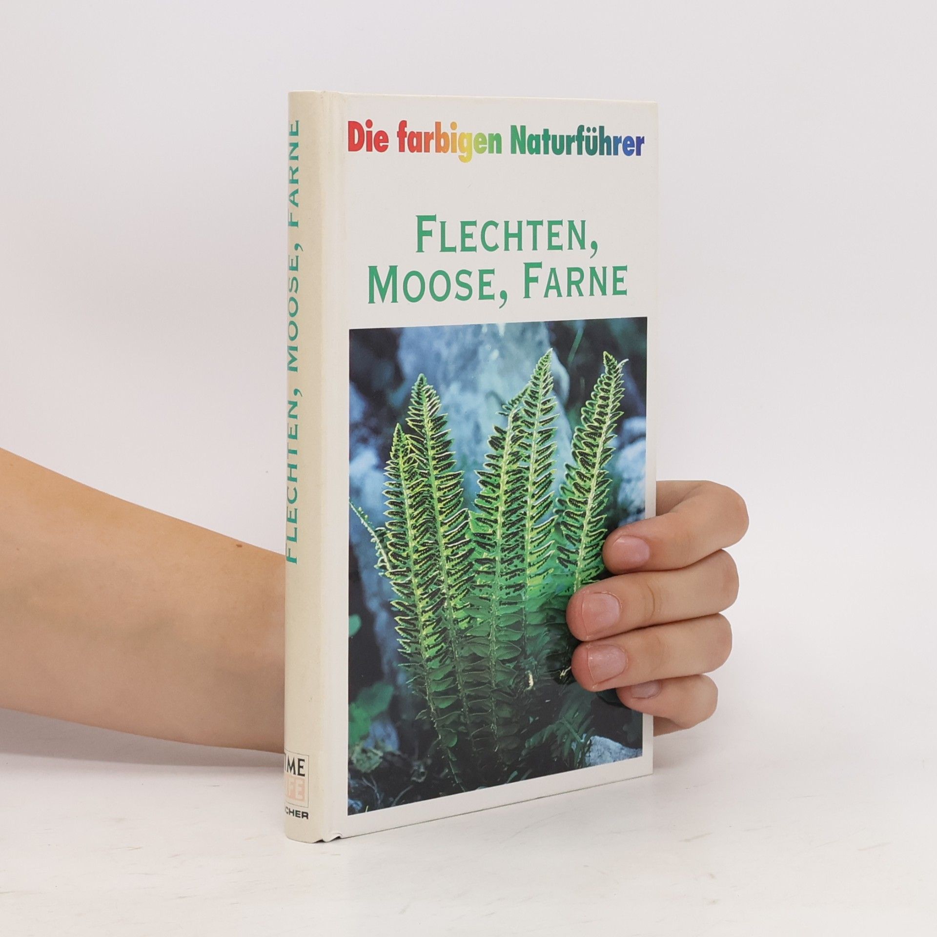 Autorenkollektiv Die farbigen Naturführer: Flechten, Moose, Farne