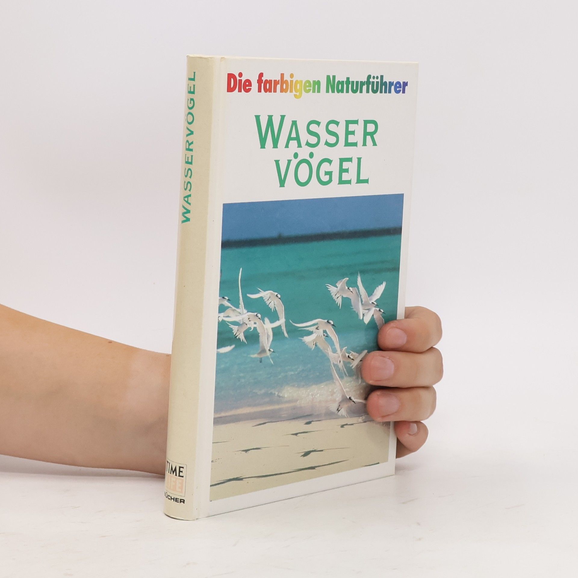 Various authors Wasser Vögel