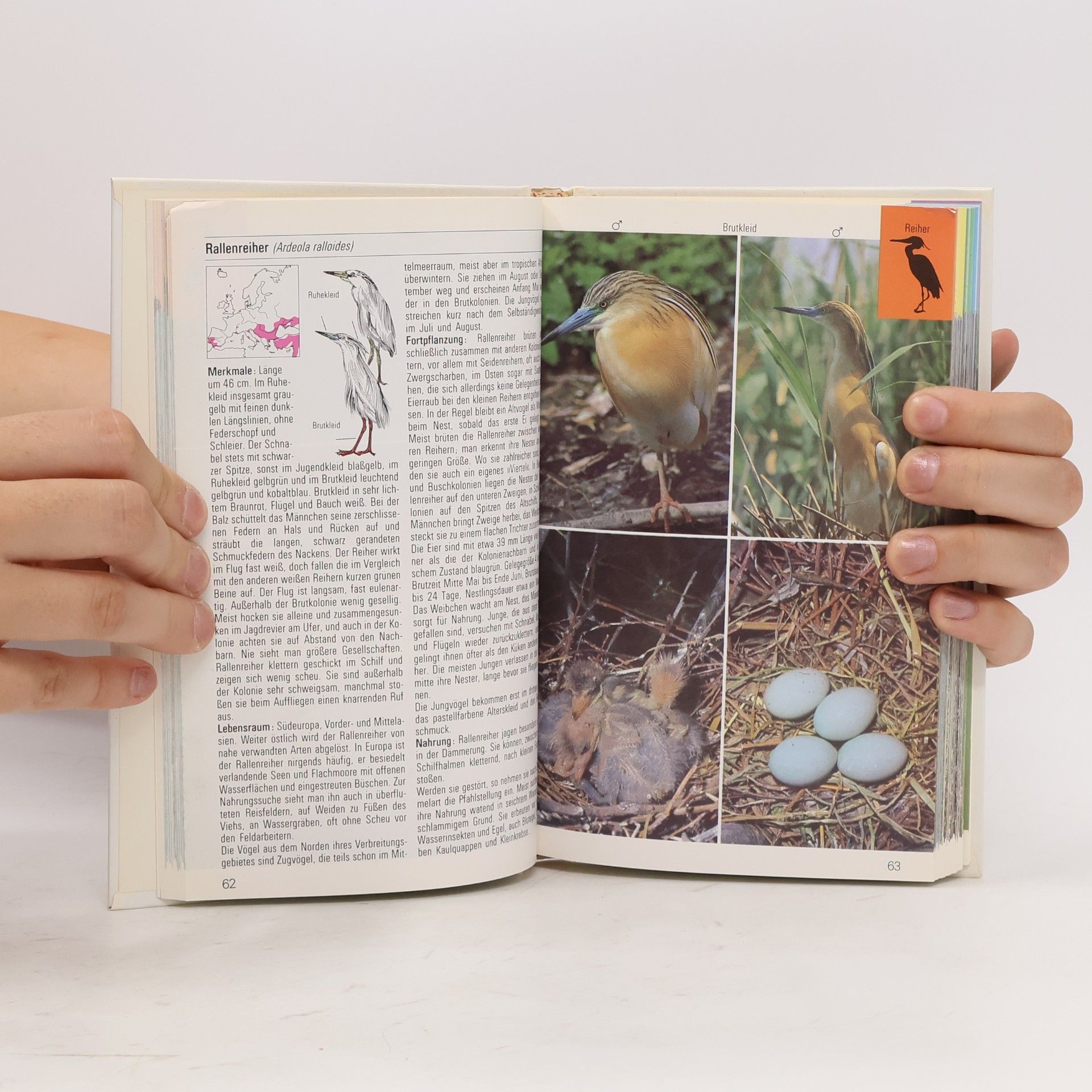 Various authors Wasser Vögel