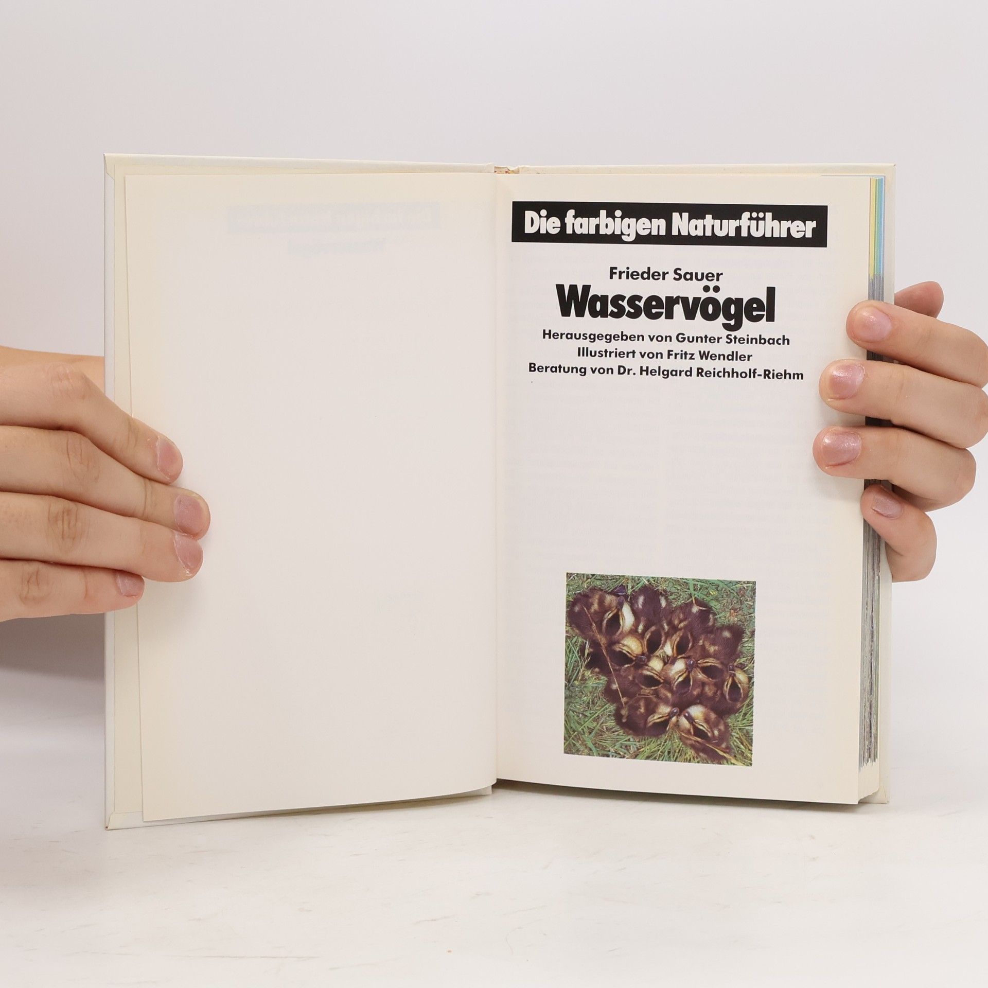 Various authors Wasser Vögel