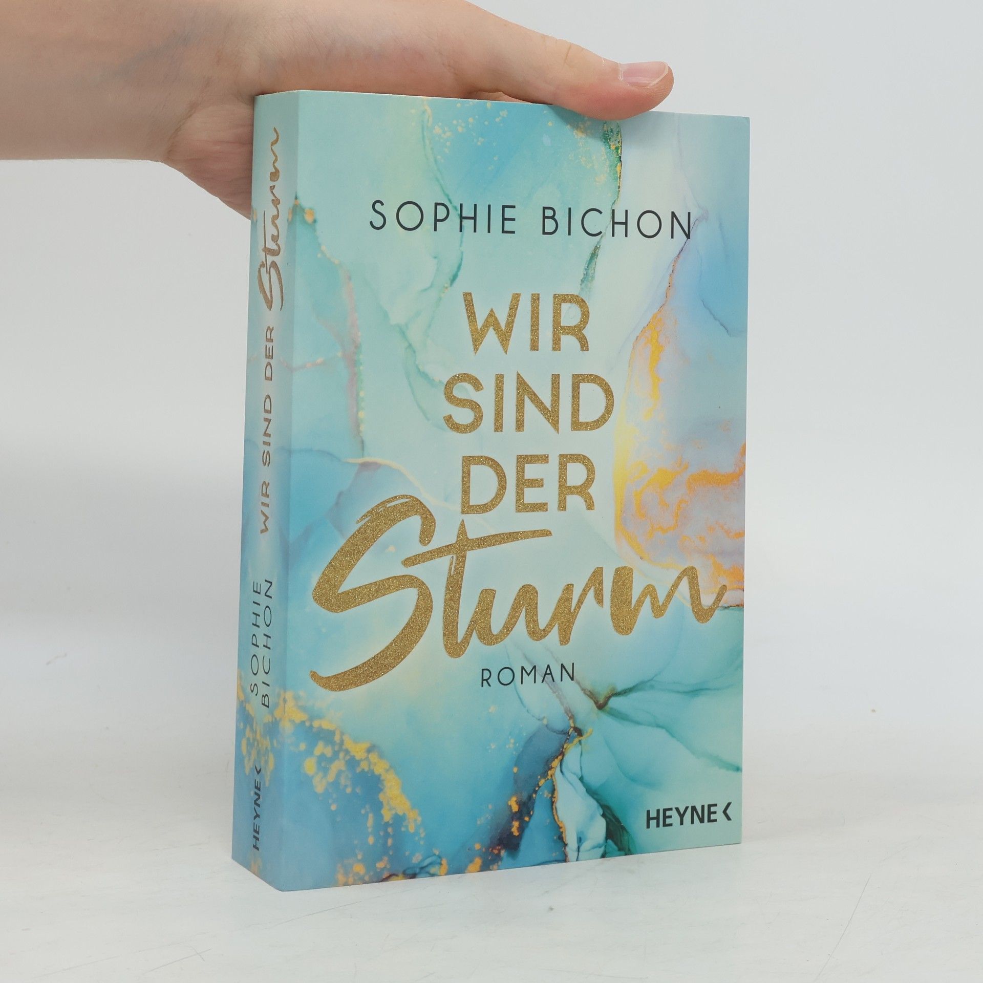 Sophie Bichon Redstone-Reihe 2. Wir sind der Sturm