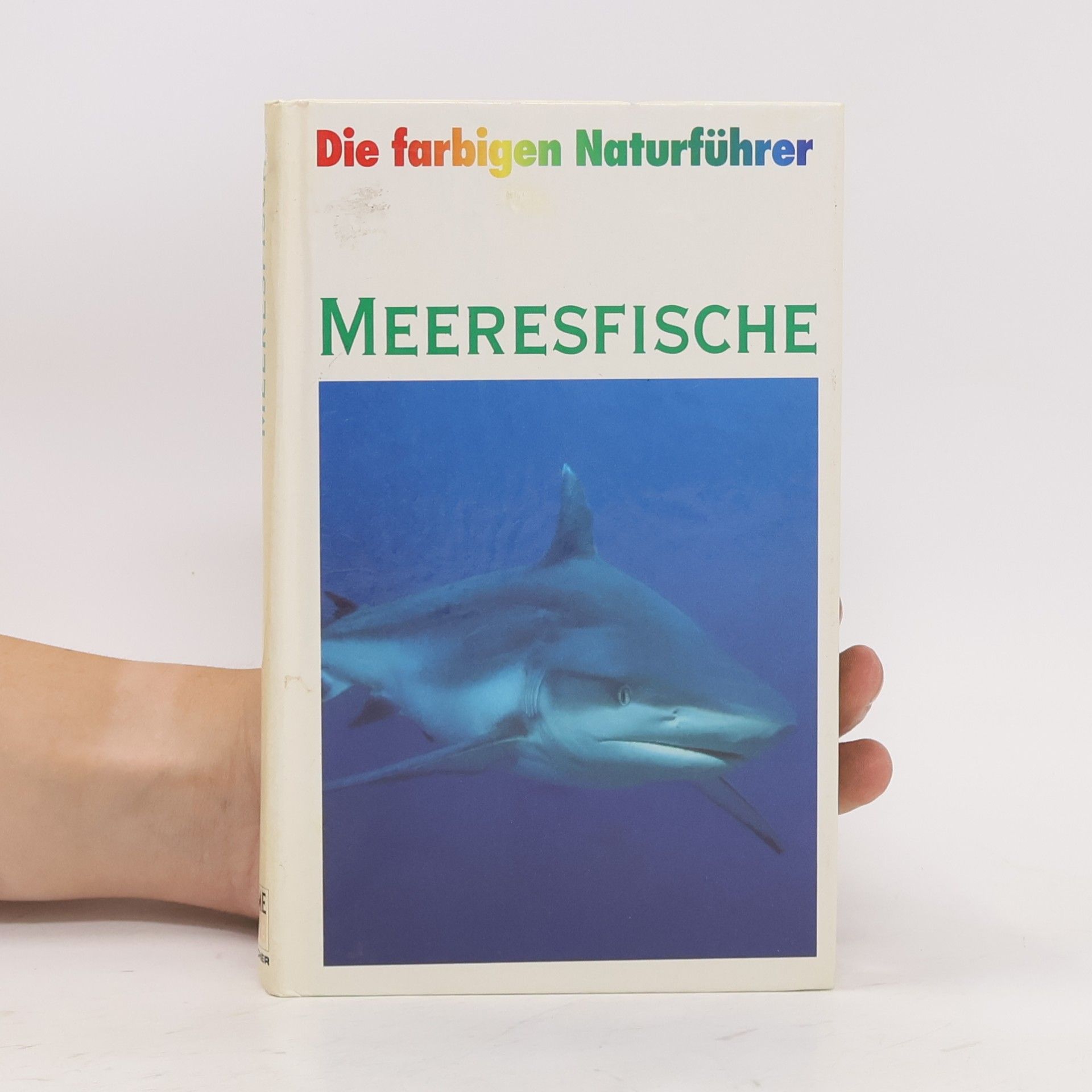 Various authors Meeresfische