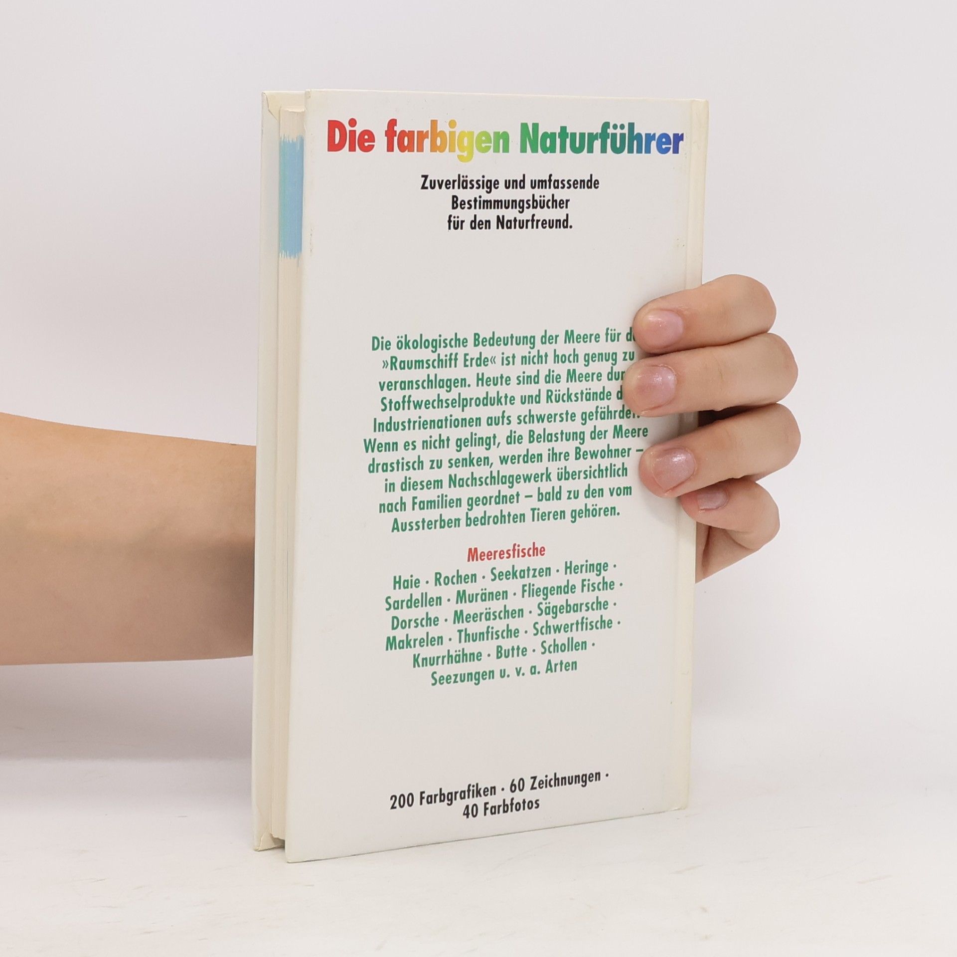Various authors Meeresfische