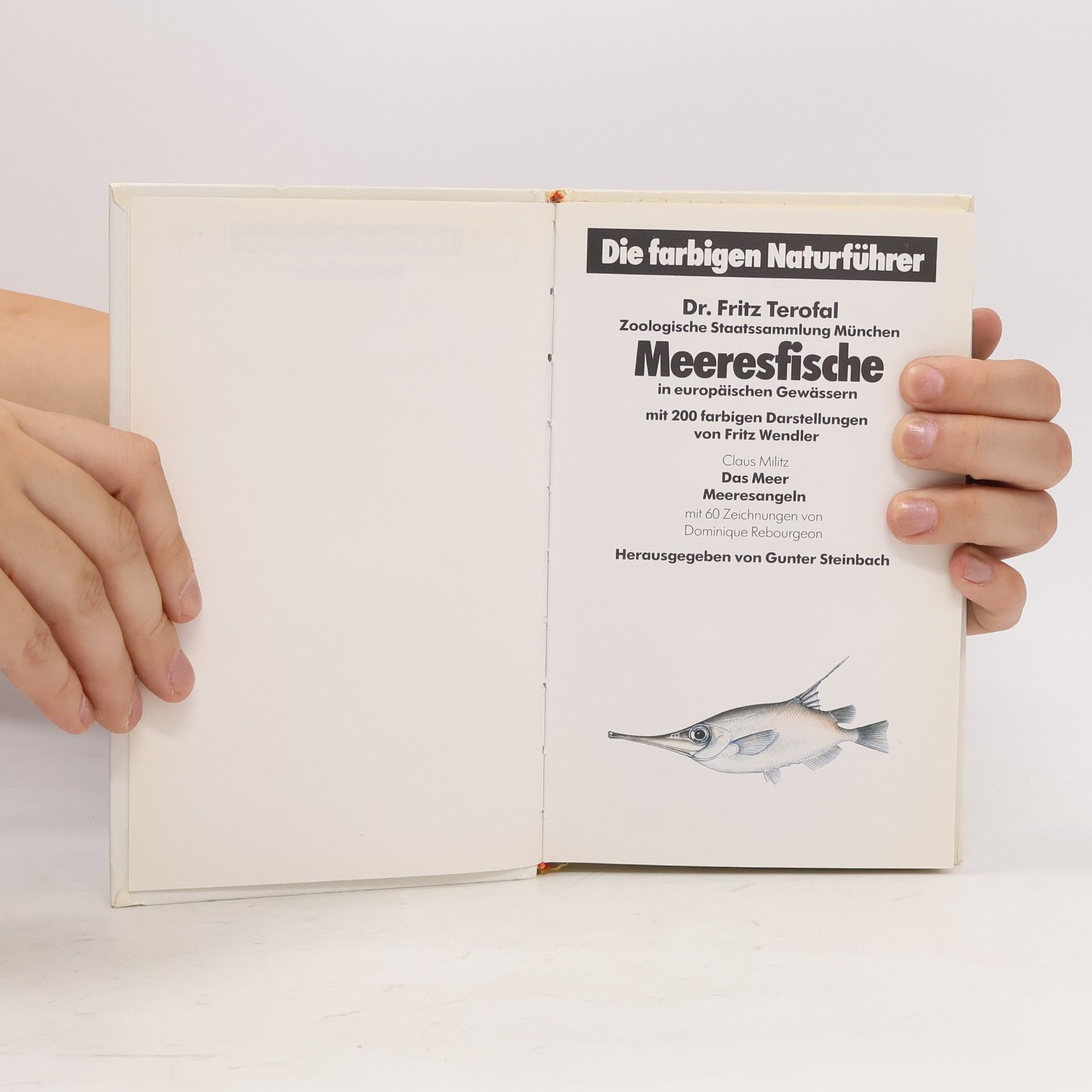 Various authors Meeresfische