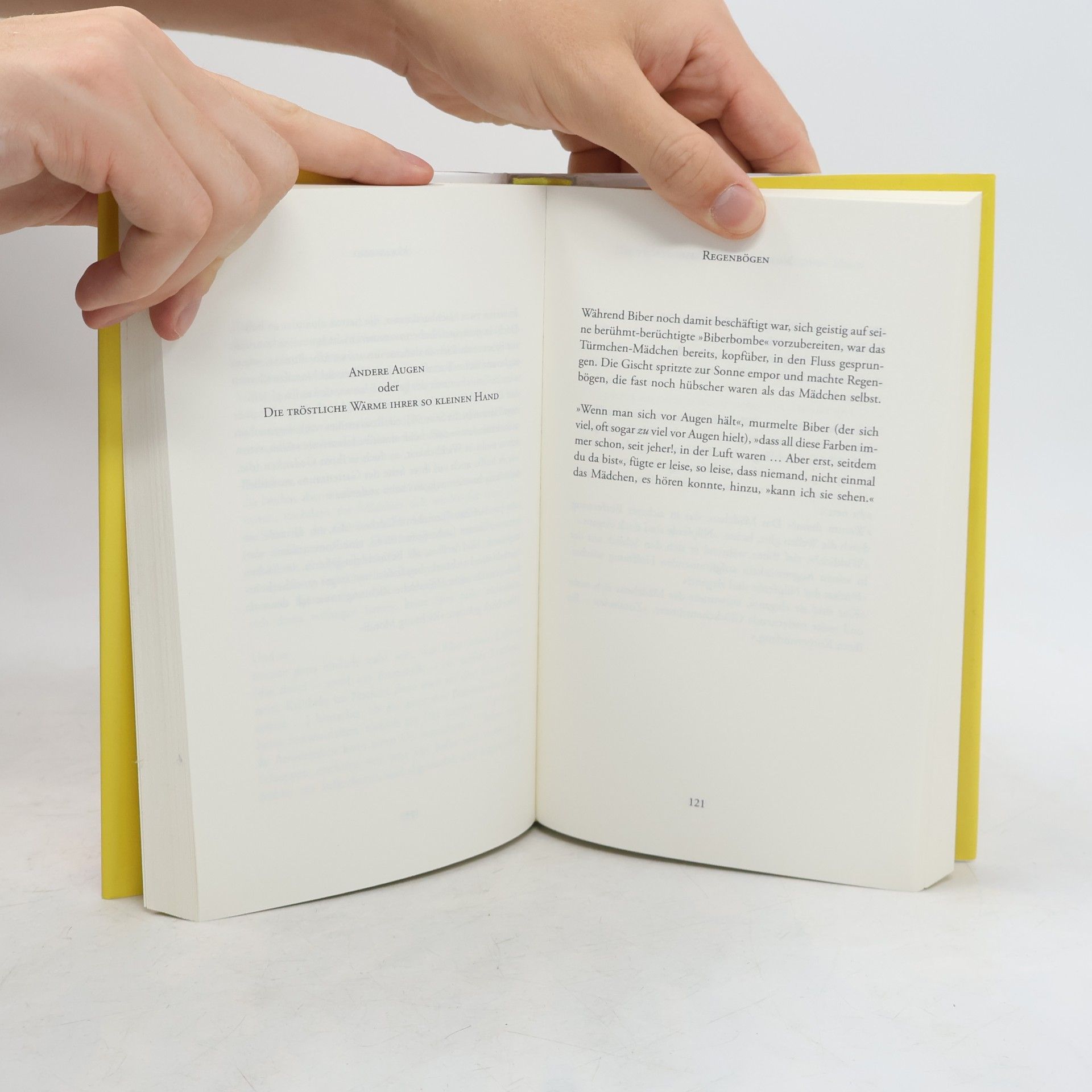 Andreas Unterweger Das gelbe Buch