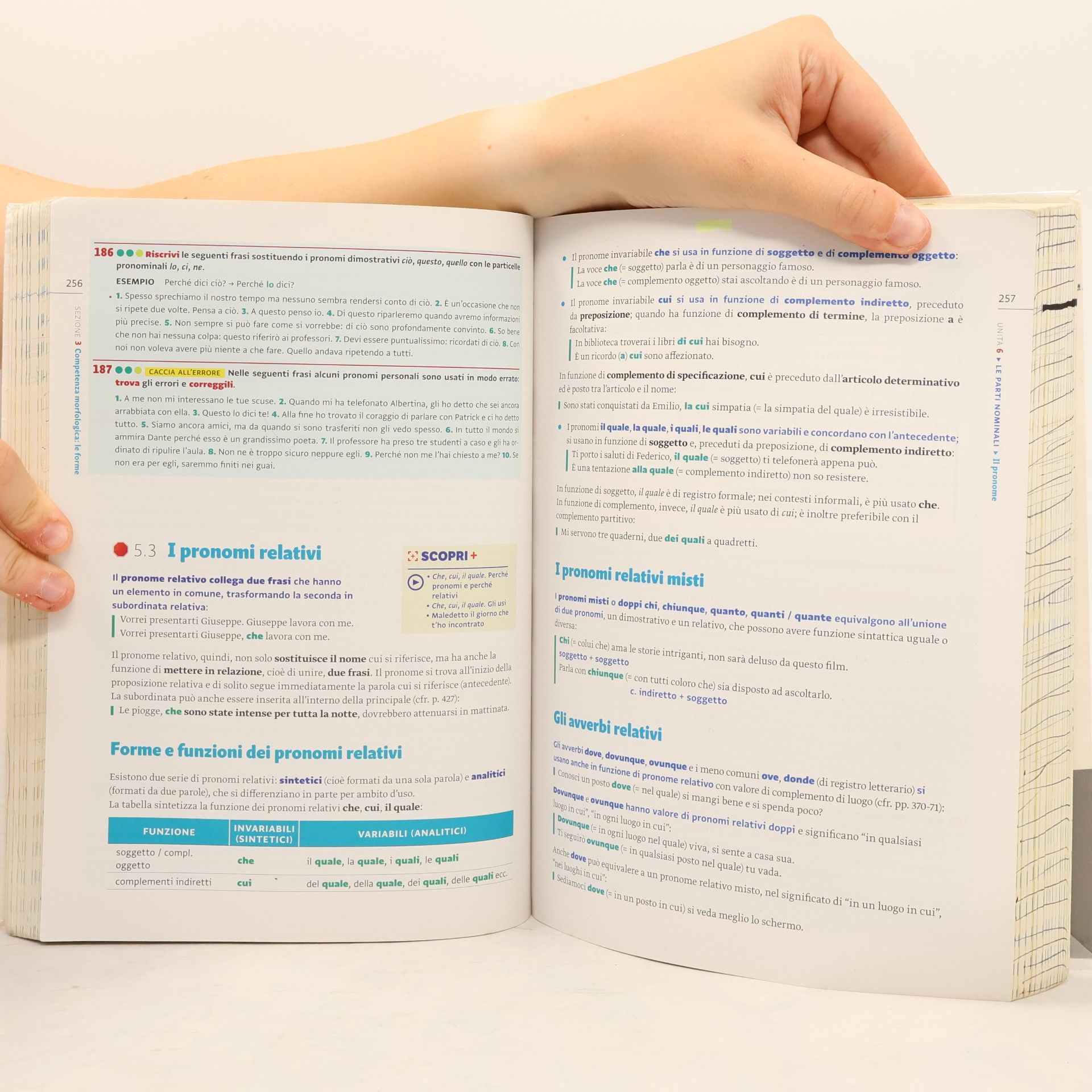 Silvia Fogliato Grammatica: Cittadini della lingua