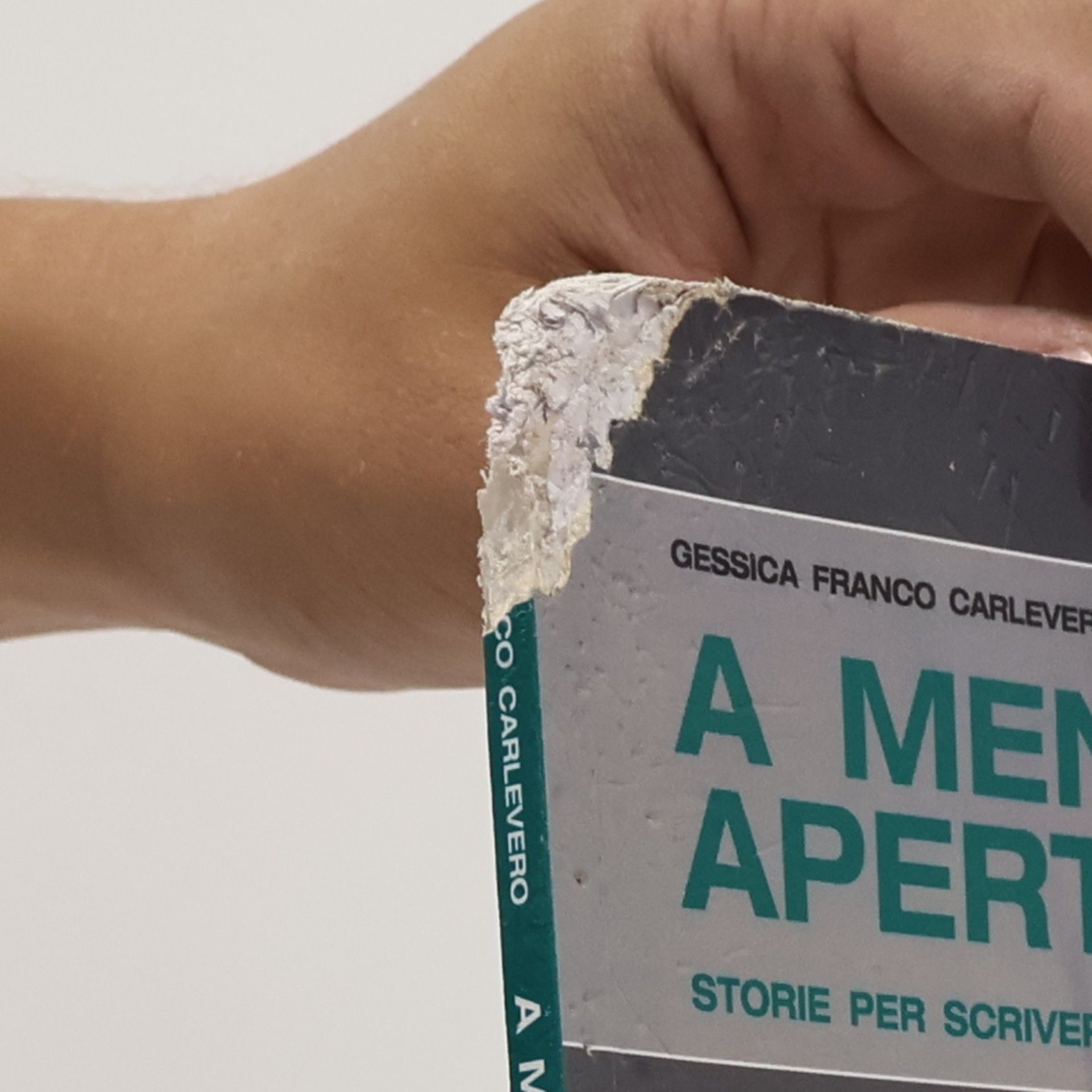 Gessica Franco Carlevero A mente aperta