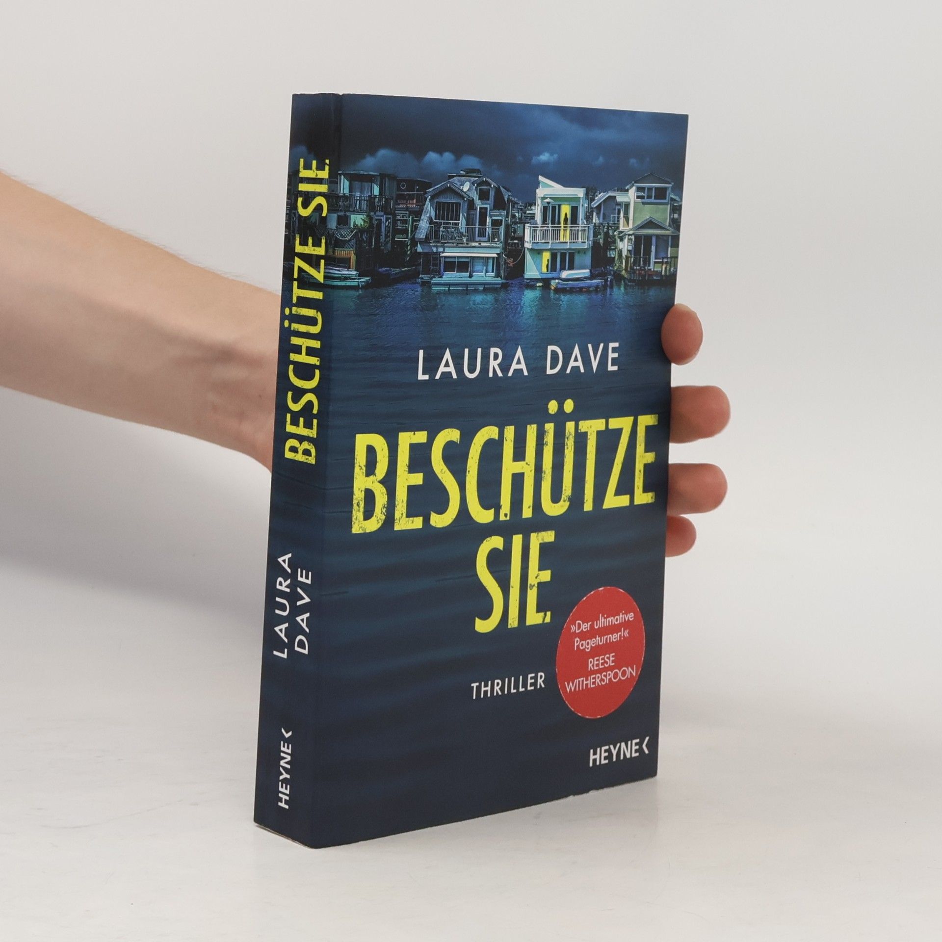 Laura Dave Beschütze sie