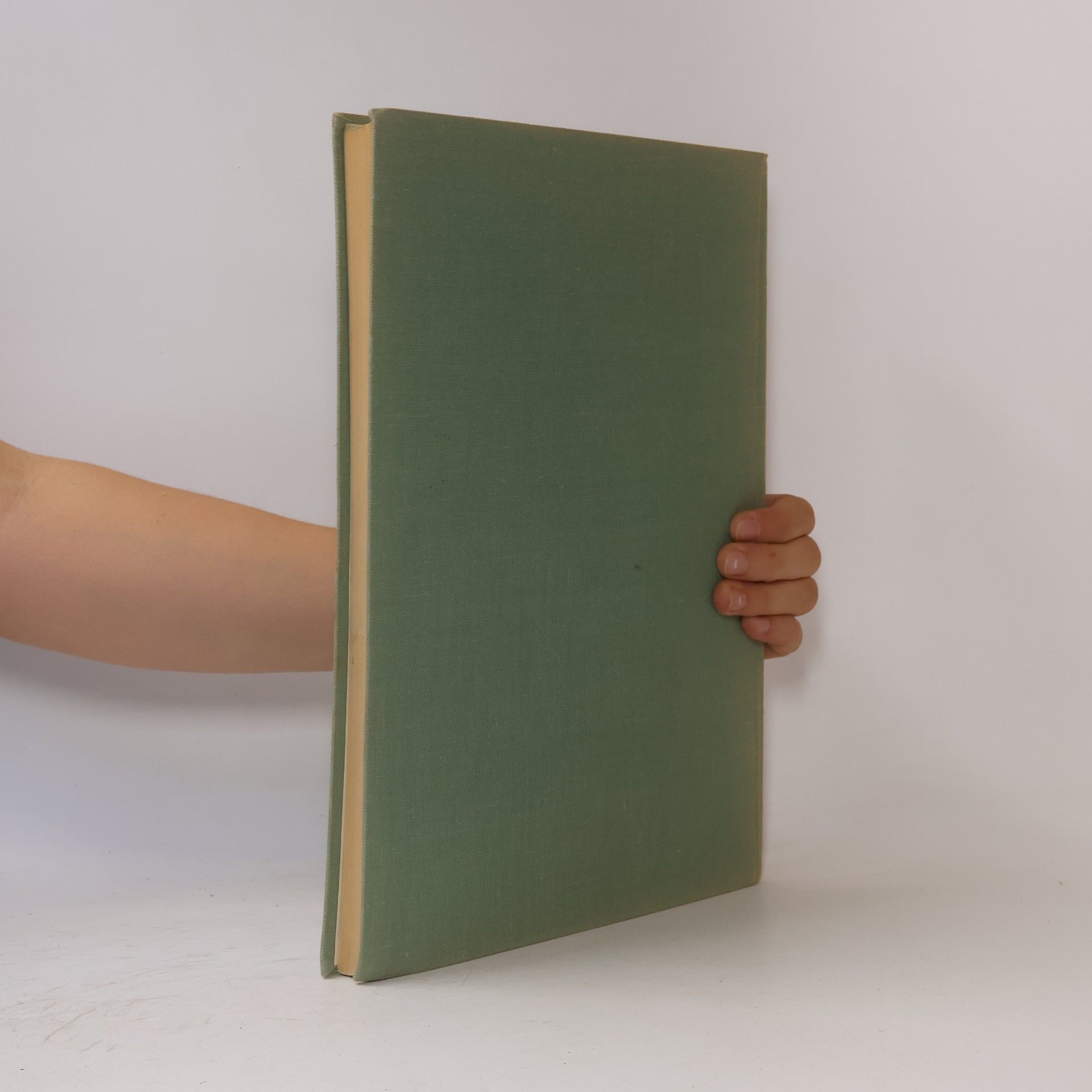 Autorenkollektiv Klasicistická architektúra na Slovensku