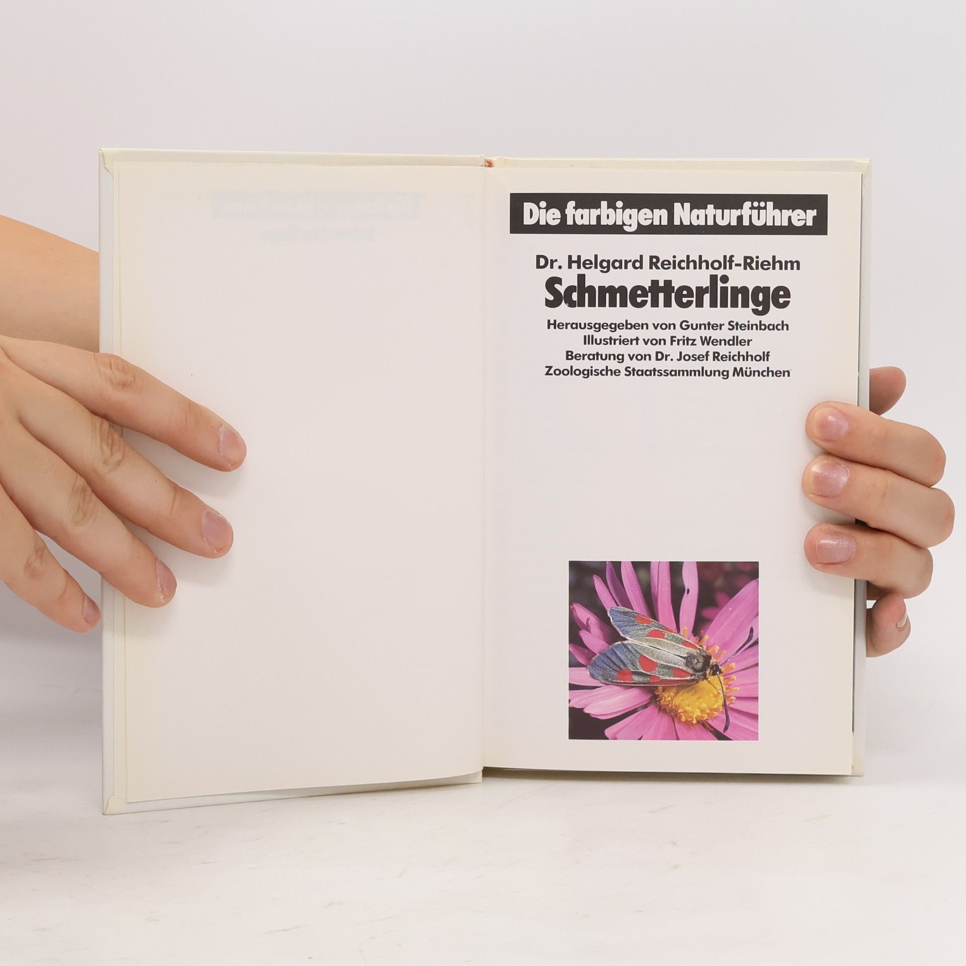 Collectif d'auteurs Die farbigen Naturführer. Schmetterlinge