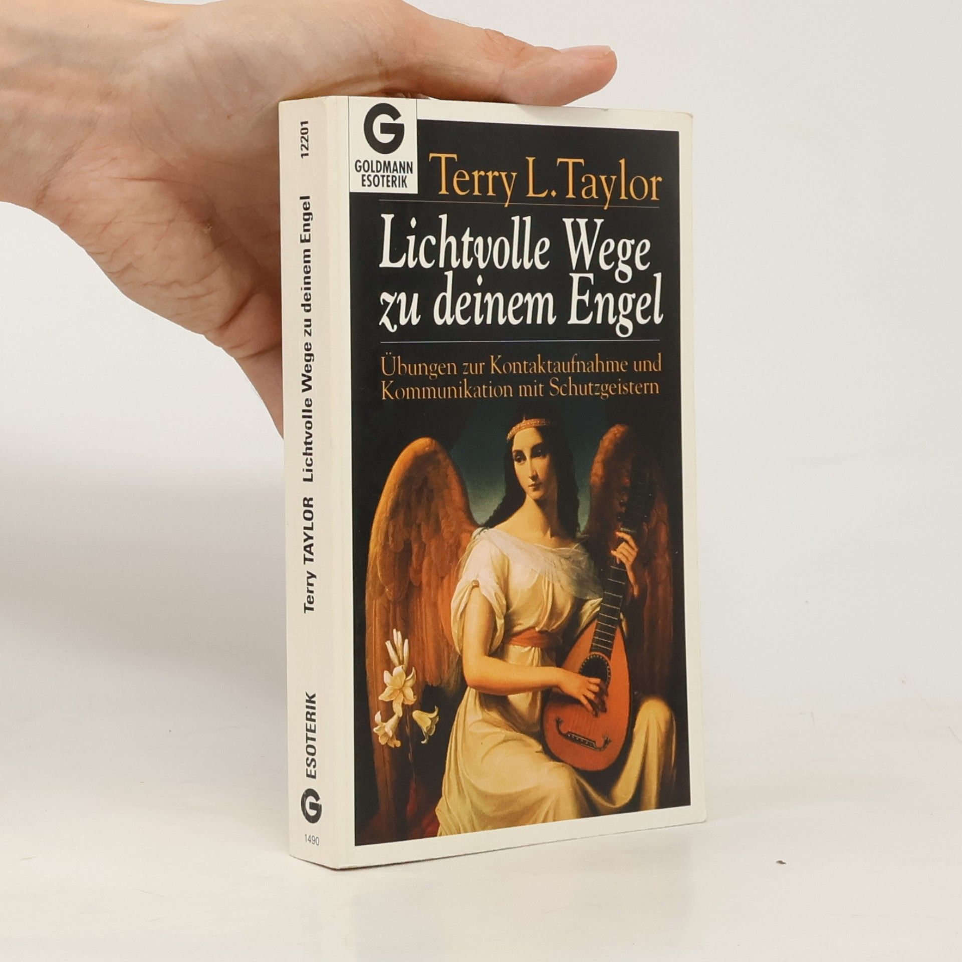 Terry Lynn Taylor Lichtvolle Wege zu deinem Engel